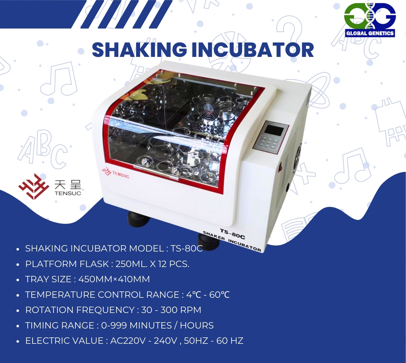 Shaking incubator #TS-80C,Tensuc