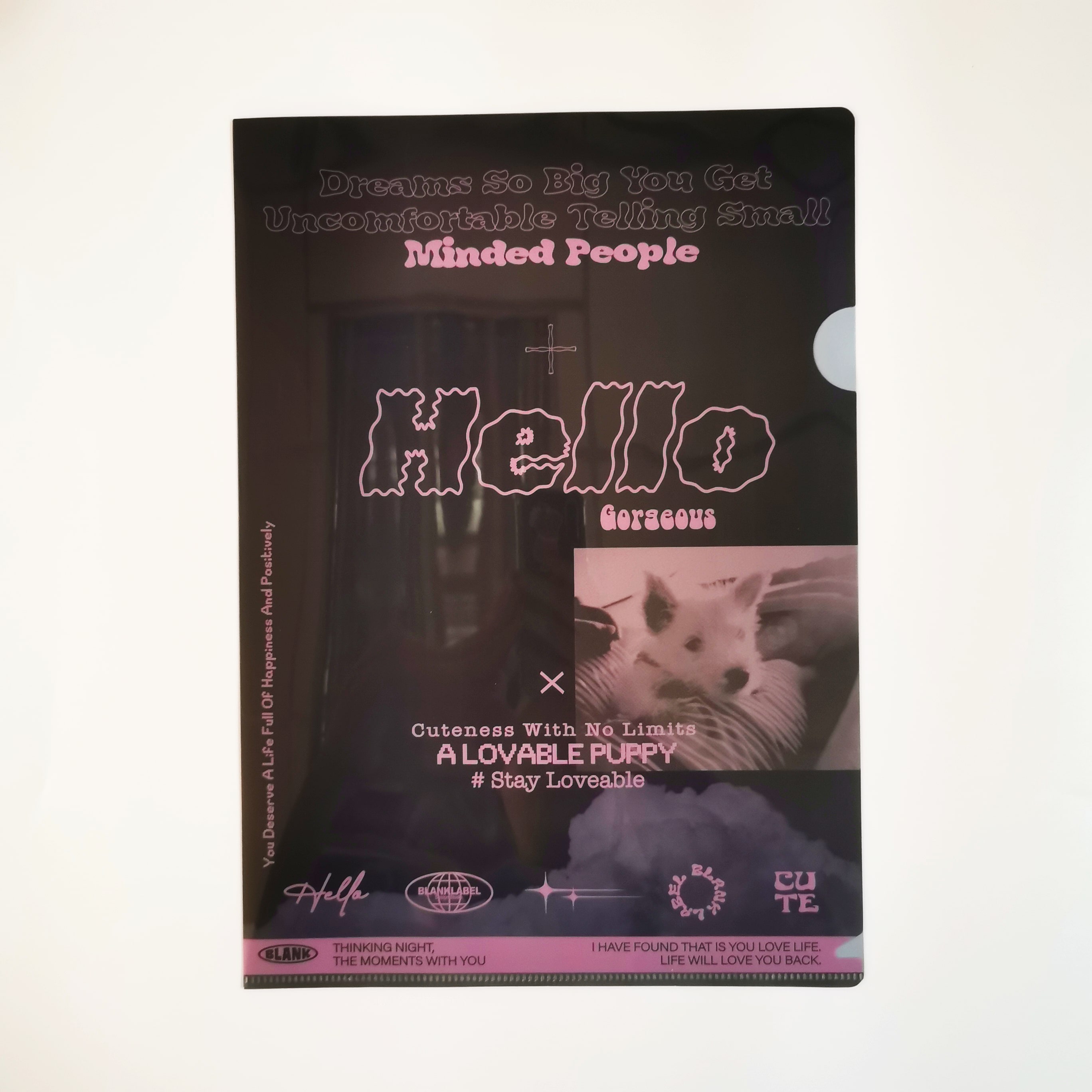 Hello Gorgeous (A4 Folder)