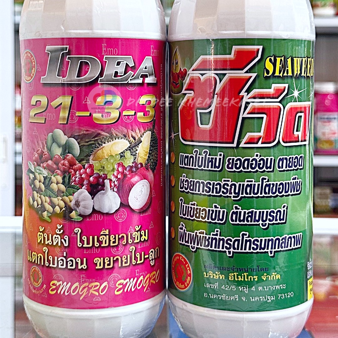 (ชุด2ขวด) ปุ๋ยน้ำ 21-3-3 ขนาด 1 ลิตร ต้นตั้ง แตกยอด อ่อนแตกใบอ่อน ขยายใบ+ซีวีด (SEAWEED) #สาหร่ายสกัดชนิดเข้มข้น ใบเขียว