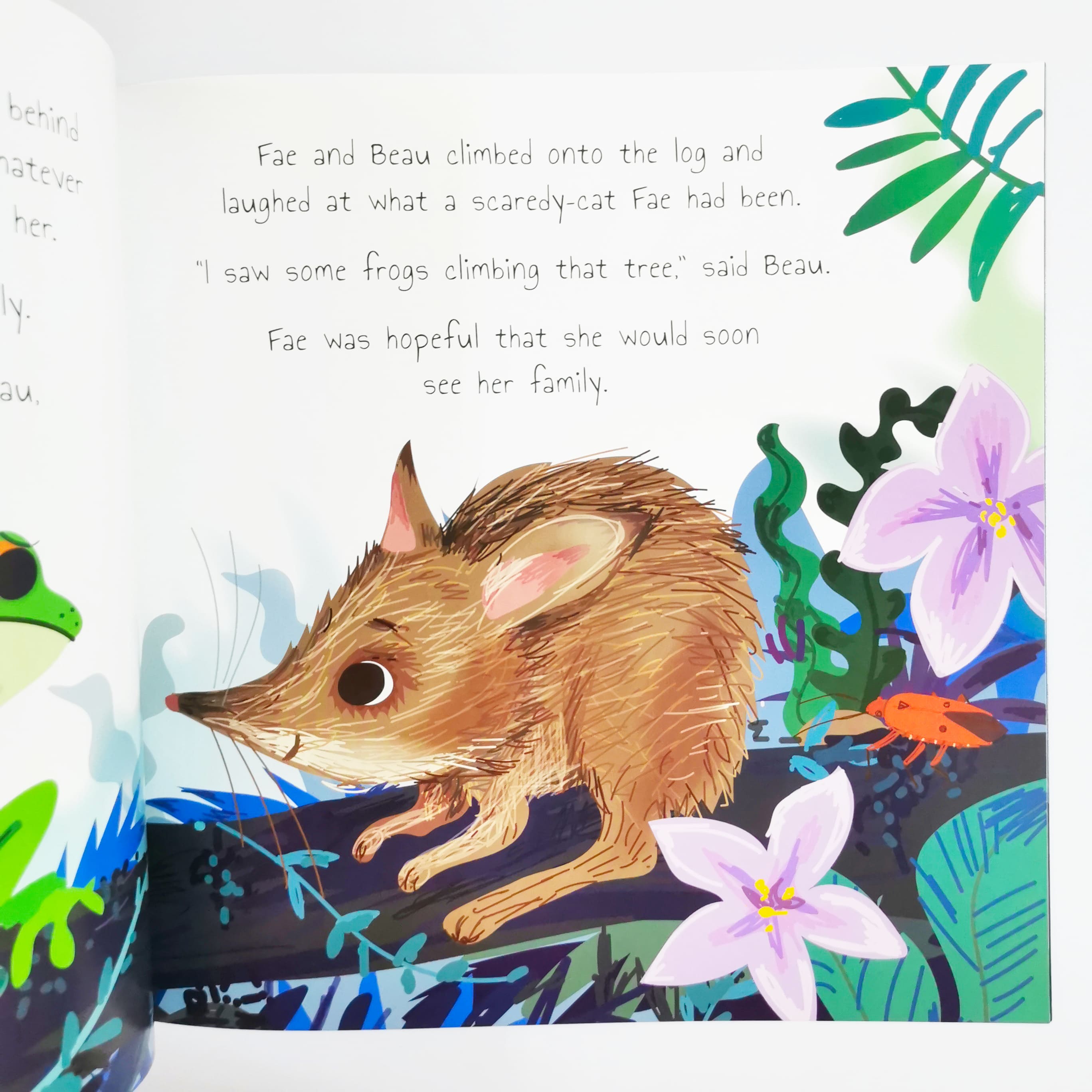 The Timid Frog (Rainforest Tales)