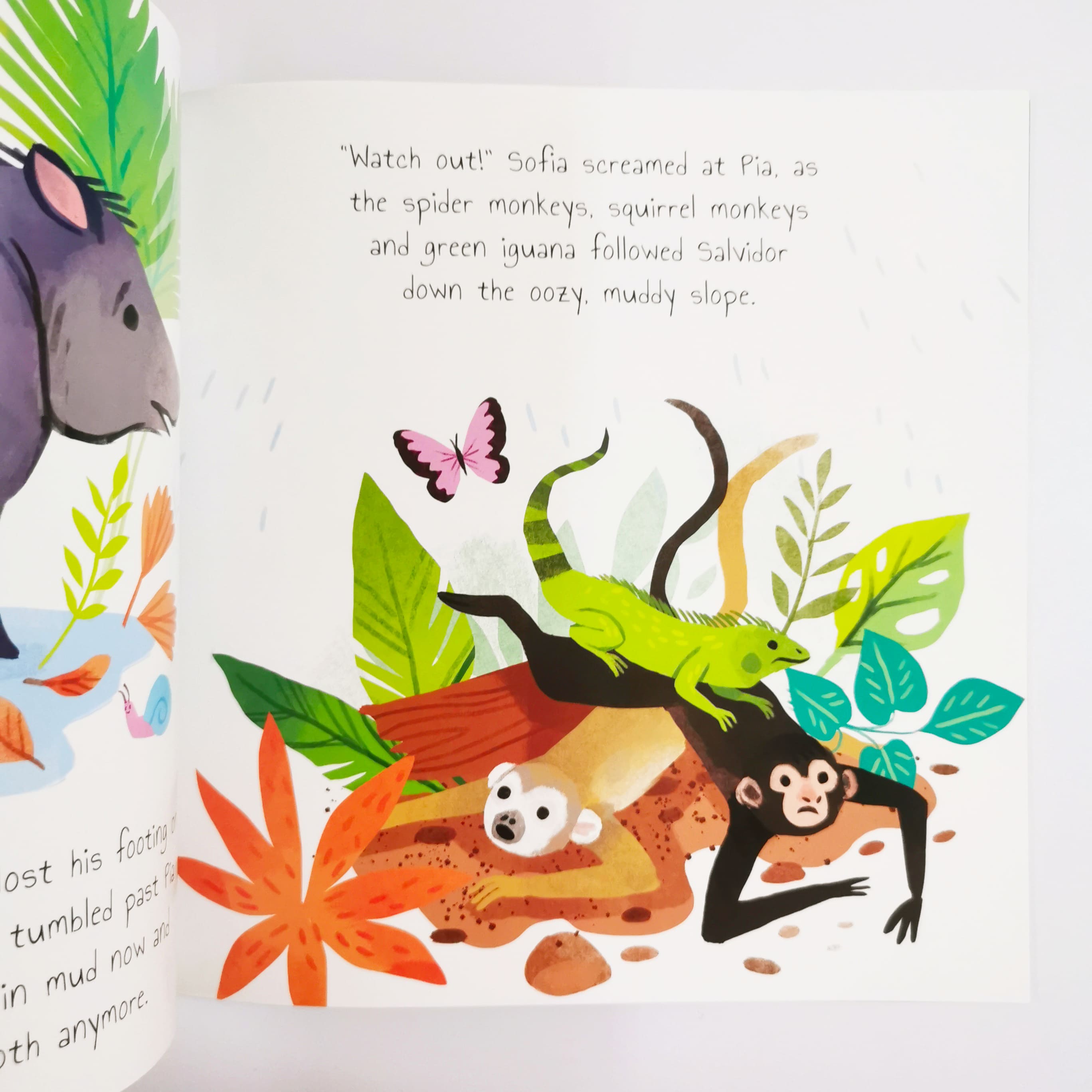 The Storyteller Sloth (Rainforest Tales)