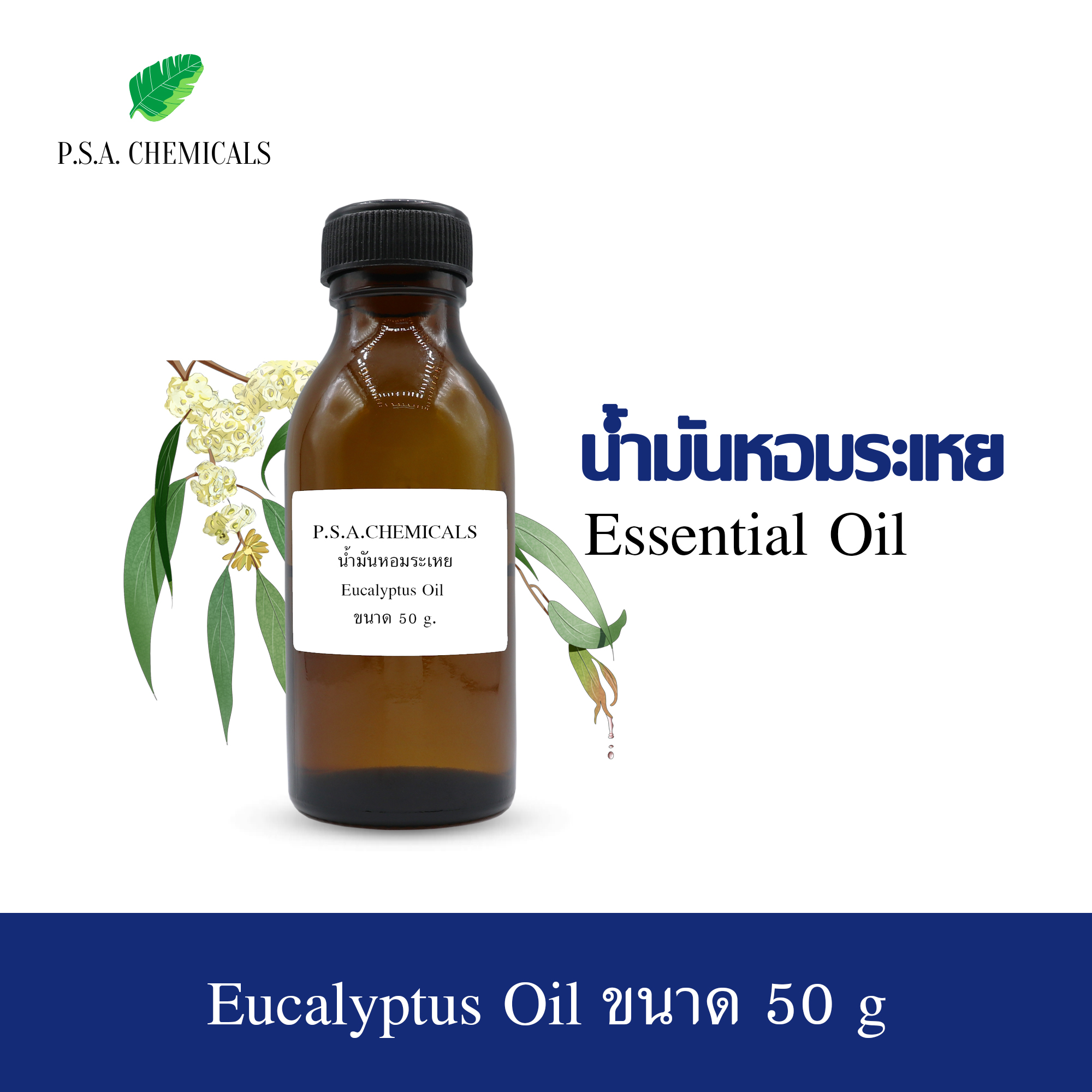 น้ำมันหอมระเหยยูคาลิปตัส (Eucalyptus Essential Oil) ขนาด 50 g ใช้กับเครื่องพ่นอโรม่า เตาอโรม่า