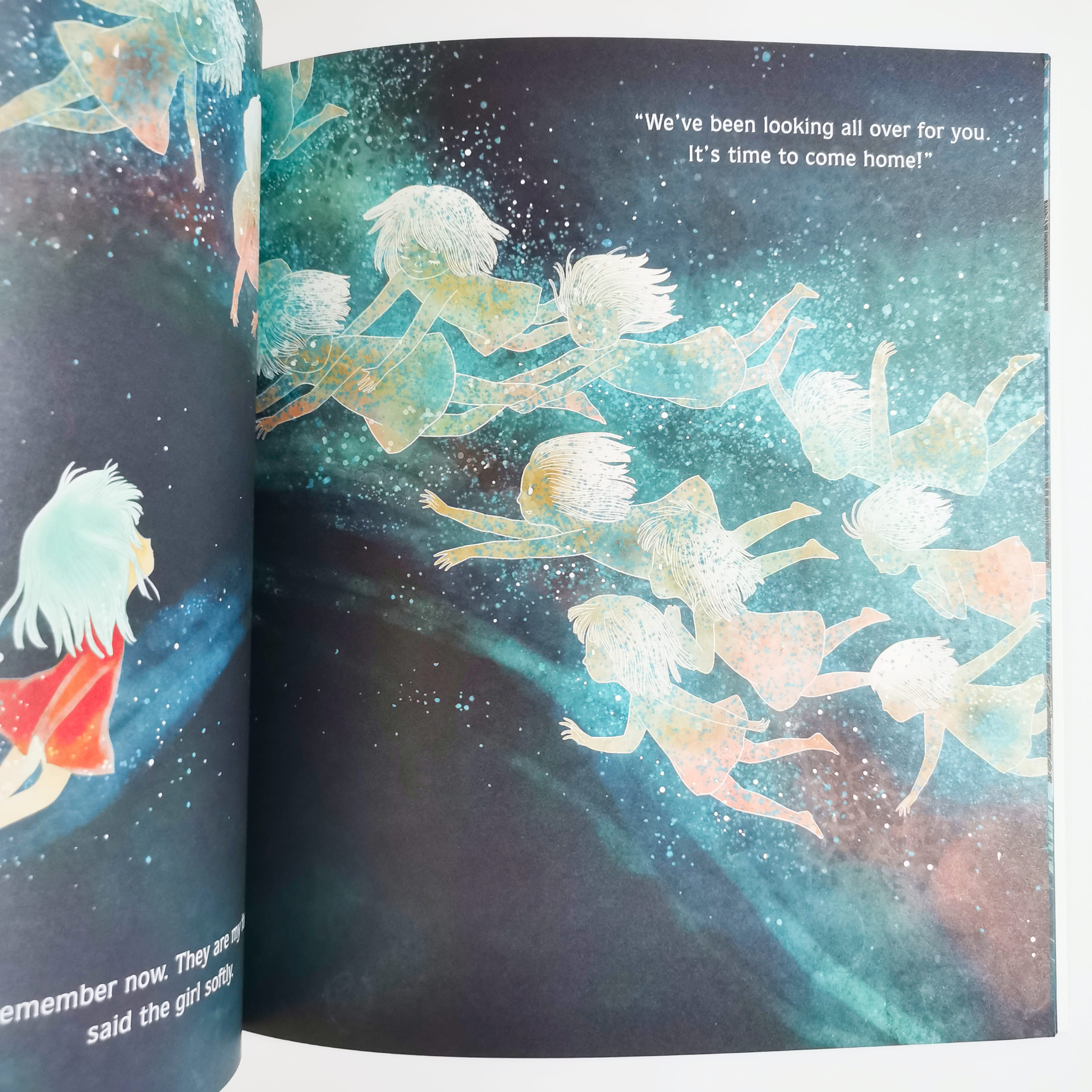 The Lonely Polar Bear