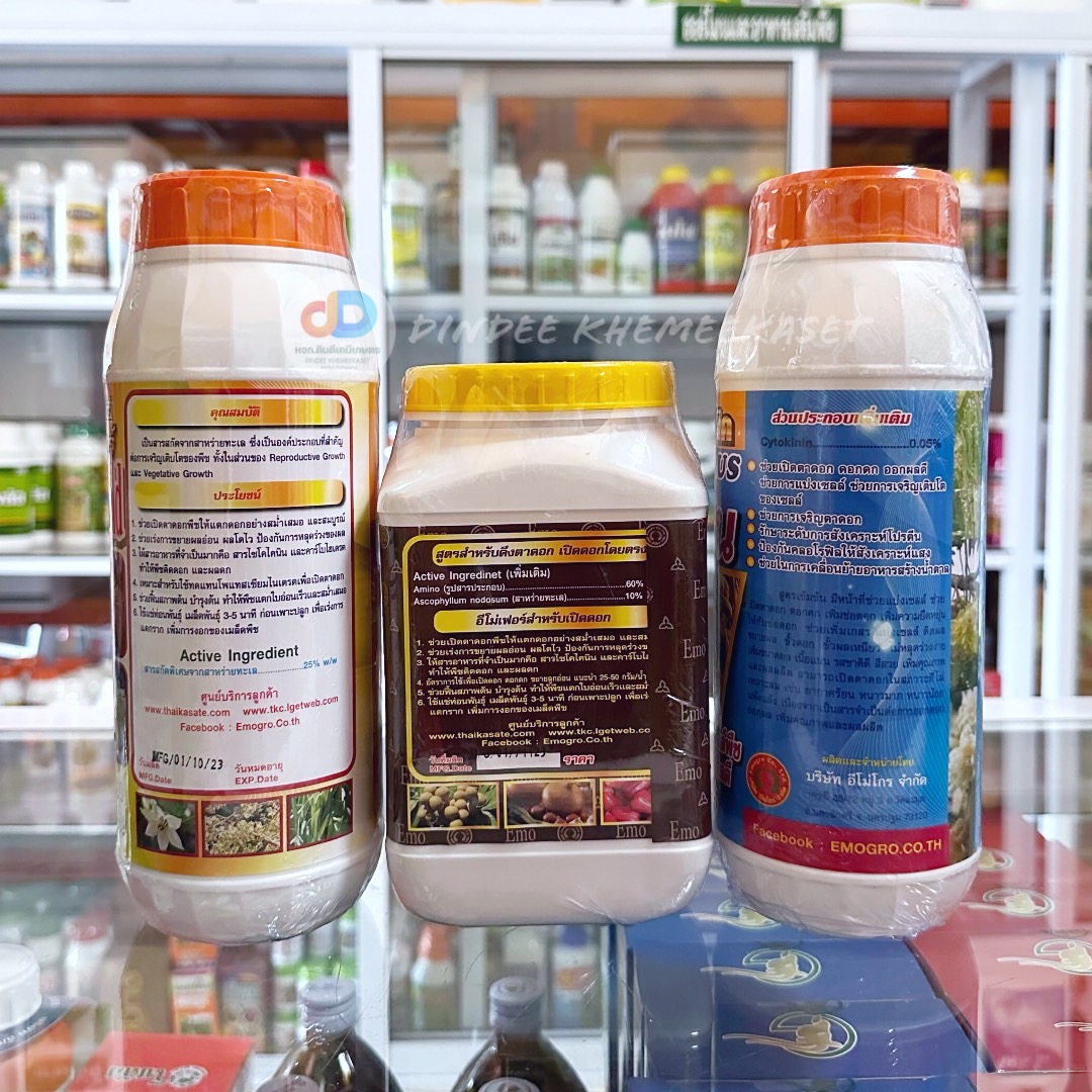 ชุดดึงดอก + ไซโตนิน ( อีโมเฟอร์ + เบสเฟอร์ + ไซโตนิน ) ช่วยในเรื่องเจริญตาดอก เปิดตาดอก บำรุงดอก เพิ่มความยืดหยุ่นของเซลล์