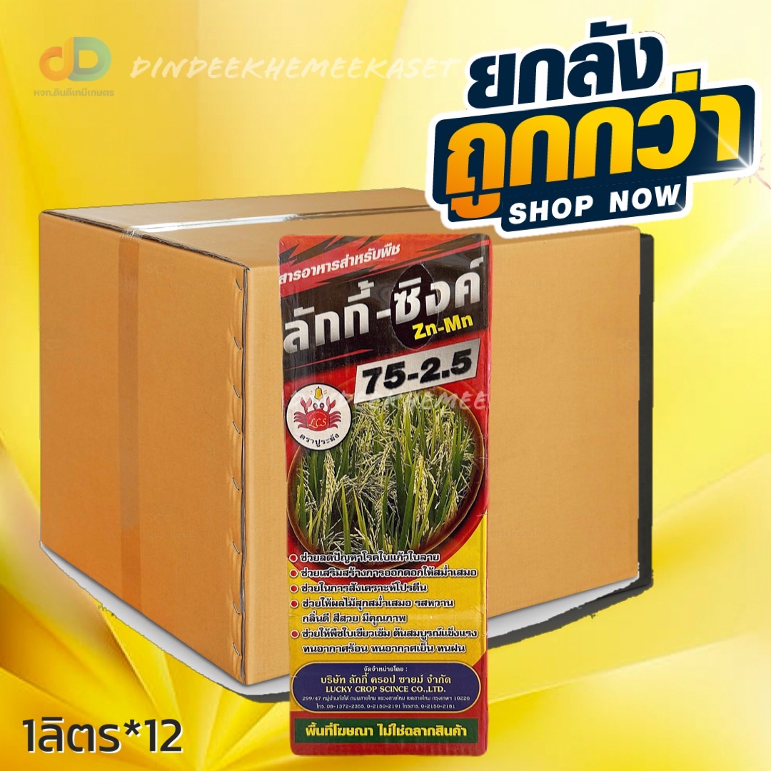 (ยกลัง 12 ขวด) ลักกี้-ซิงค์ Zn-Mn 1 ลิตร ช่วยลดปัญหาการเกิดใบแก้ว ใบลาย ช่วยในการสังเคราะห์โปรตีน ทนต่อสภาพอากาศ