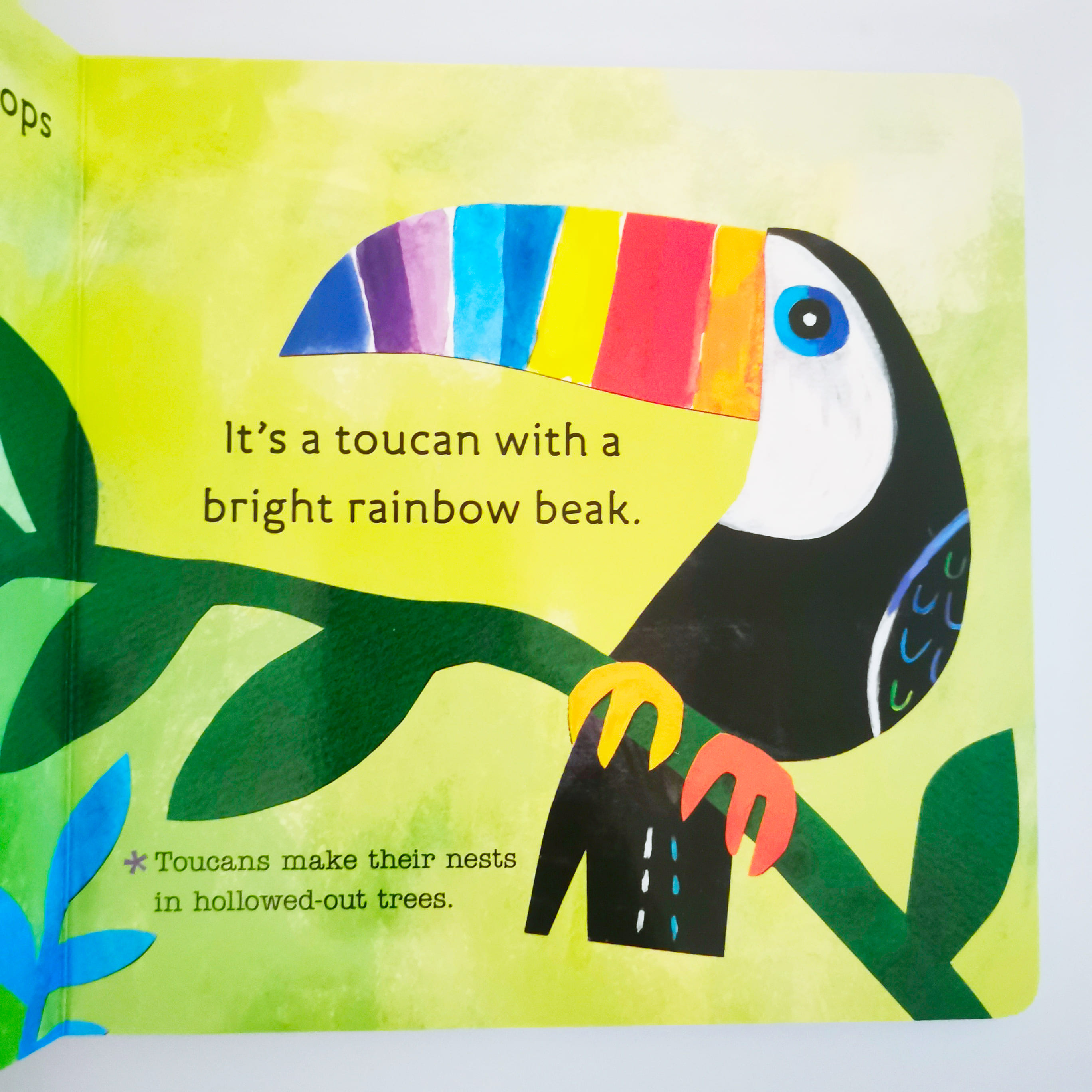 Birds (Hello, World!)