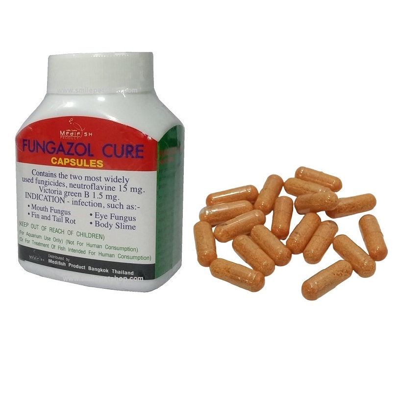 FUNGAZOL CURE CAPSULES (รักษา ครีบเปื่อย ตัวเปื่อย ตาฝ้า ครีบหางกร่อน แผลตามตัว ตกเลือด เมือกตามตัว)