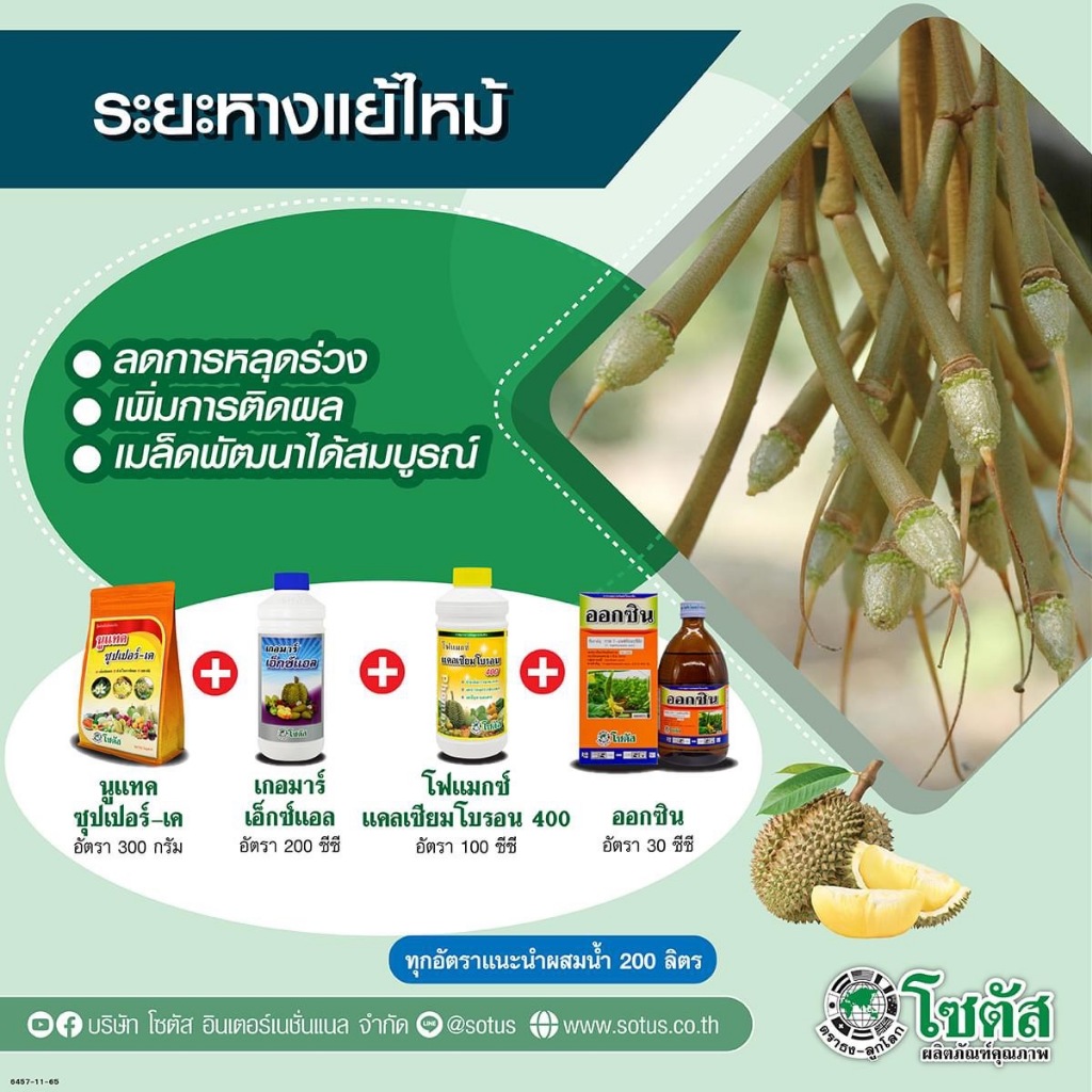 ชุดบำรุงทุเรียน นูเเทค--ซุปเปอร์-เค+เกอร์มาเอ็กซ์แอล+โฟเเมกเเคลเซียมโบรอน400+ออกซิน