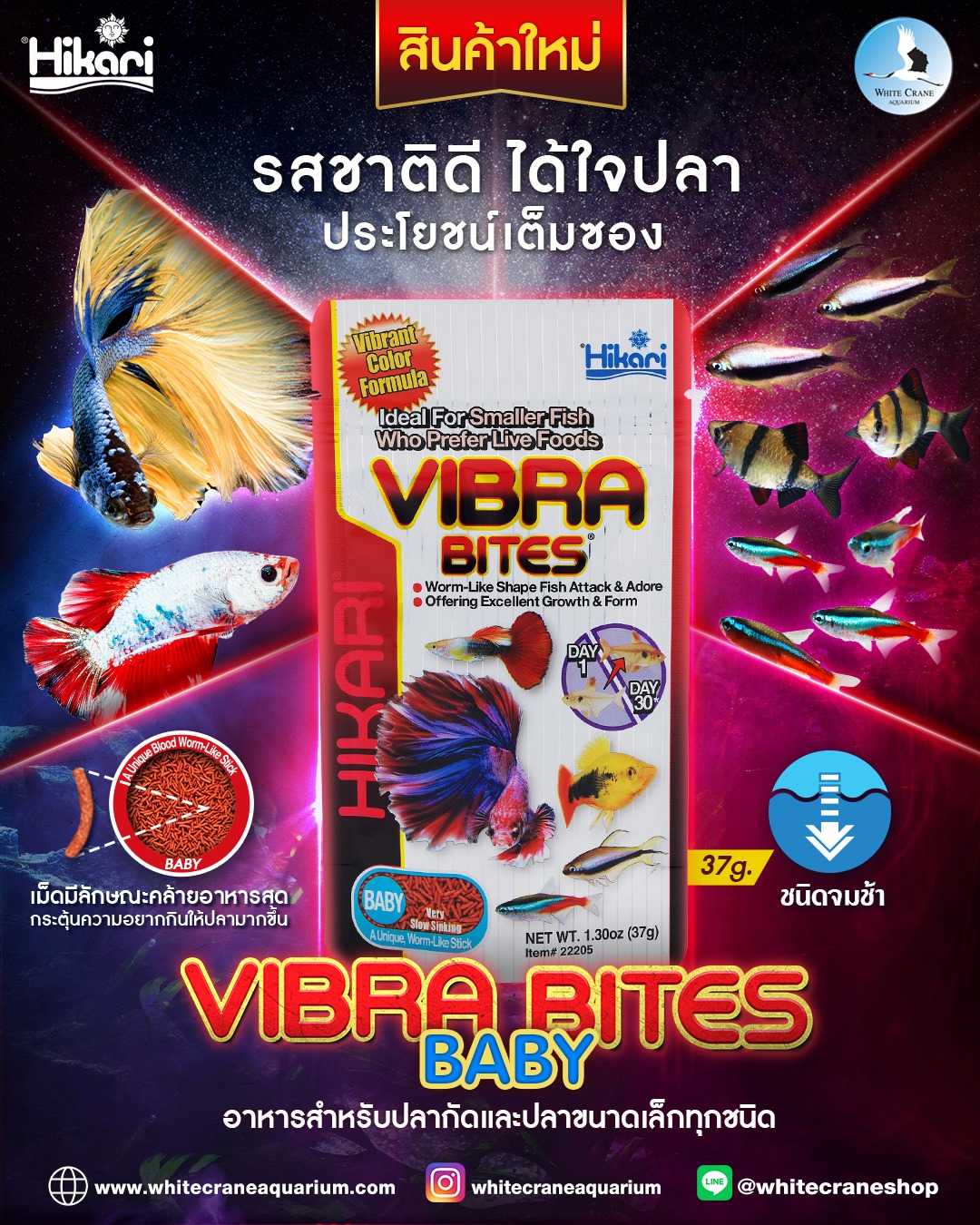 Hikari Vibra Bites (อาหารปลาชนิดจมน้ำ ออกแบบให้เม็ดอาหารมีลักษณะเหมือนสิ่งมีชีวิต)