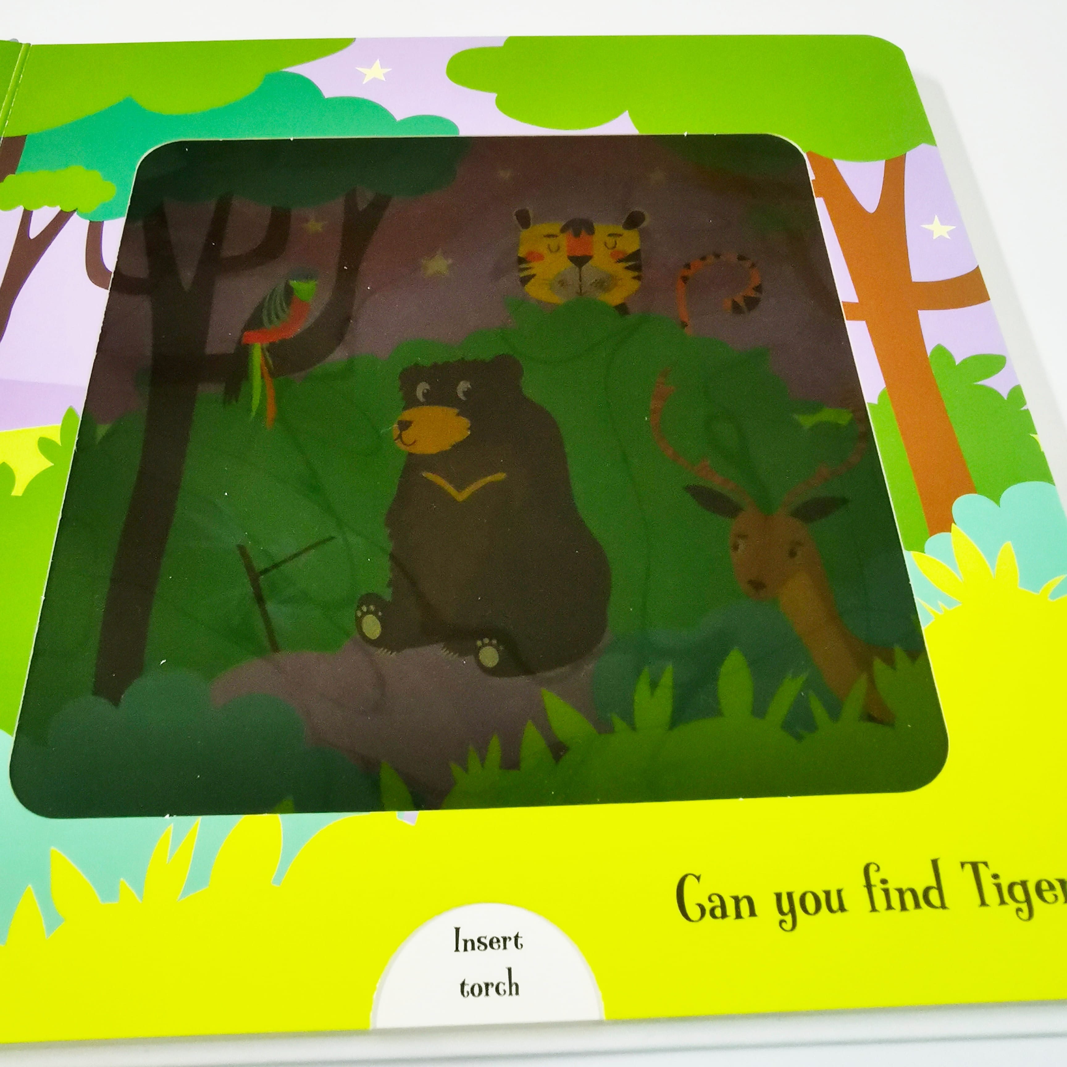 Goodnight Monkey (Magic Torch Books)