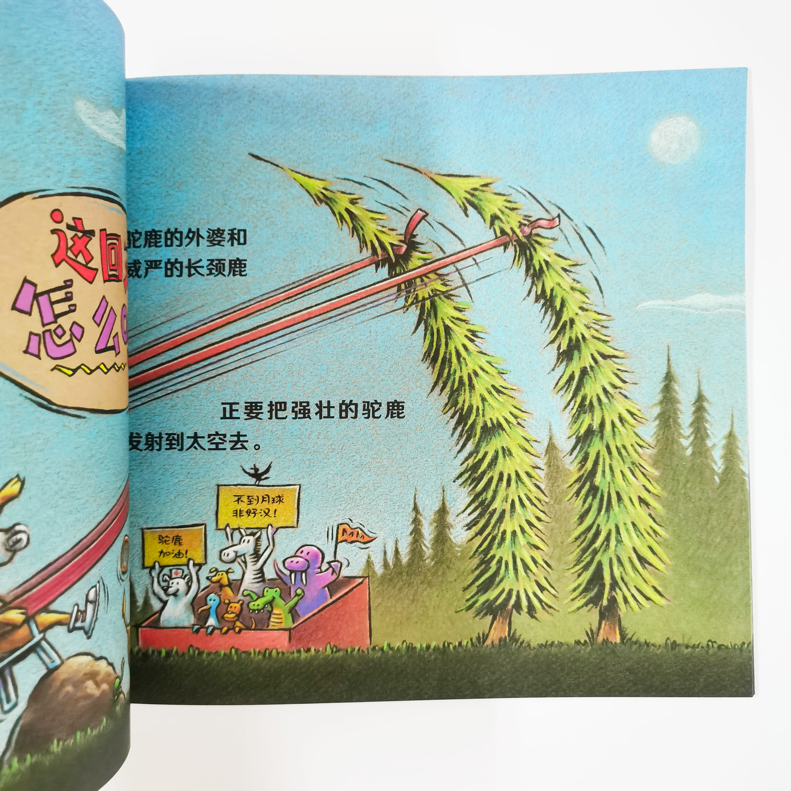 这是一头驼鹿 This is a Moose