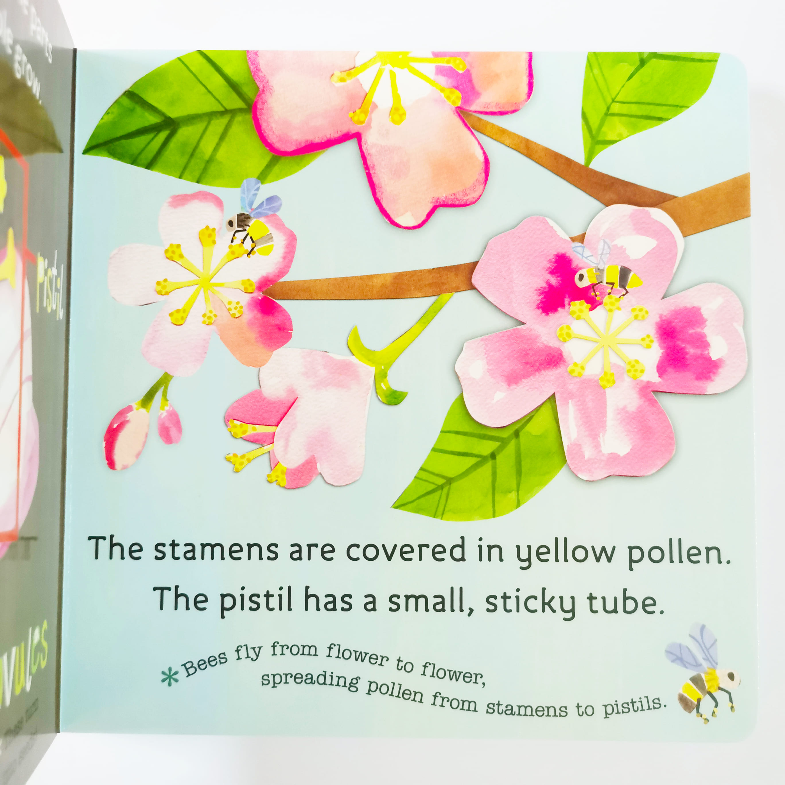 How Do Apples Grow (Hello, World!)