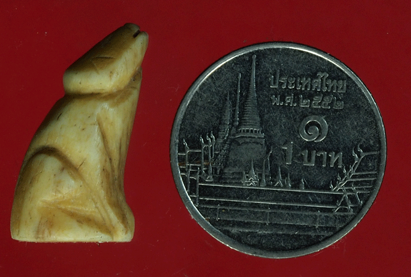 B2499 เสือแกะ ไม่ทราบที่และปีสร้าง (ยุคใหม่) 12