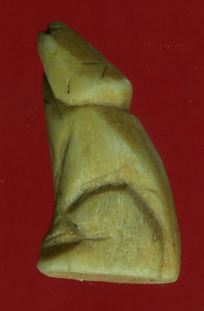 B2499 เสือแกะ ไม่ทราบที่และปีสร้าง (ยุคใหม่) 12