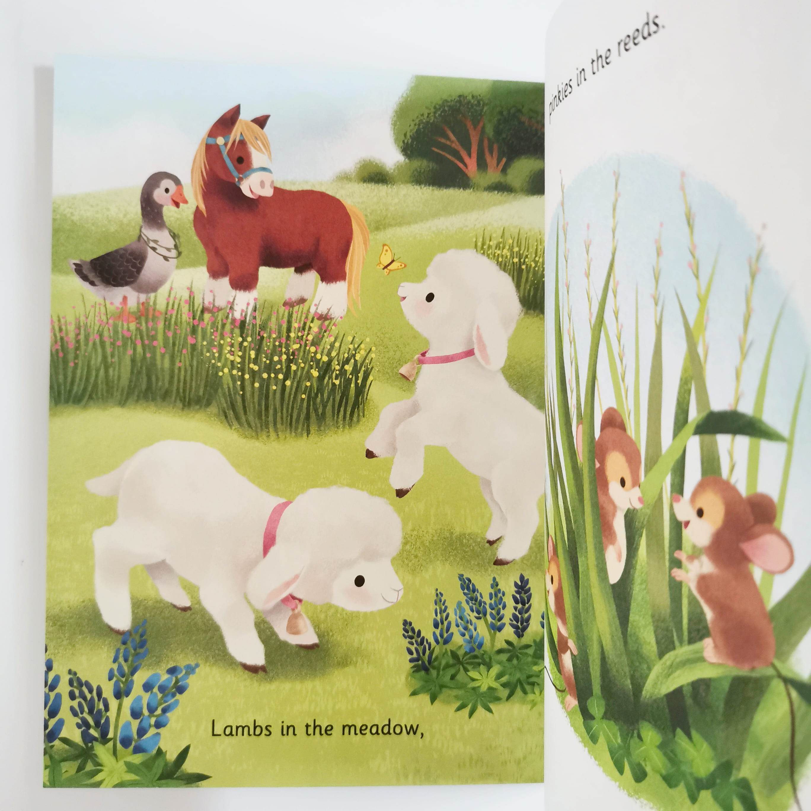 Springtime Babies (LGB)