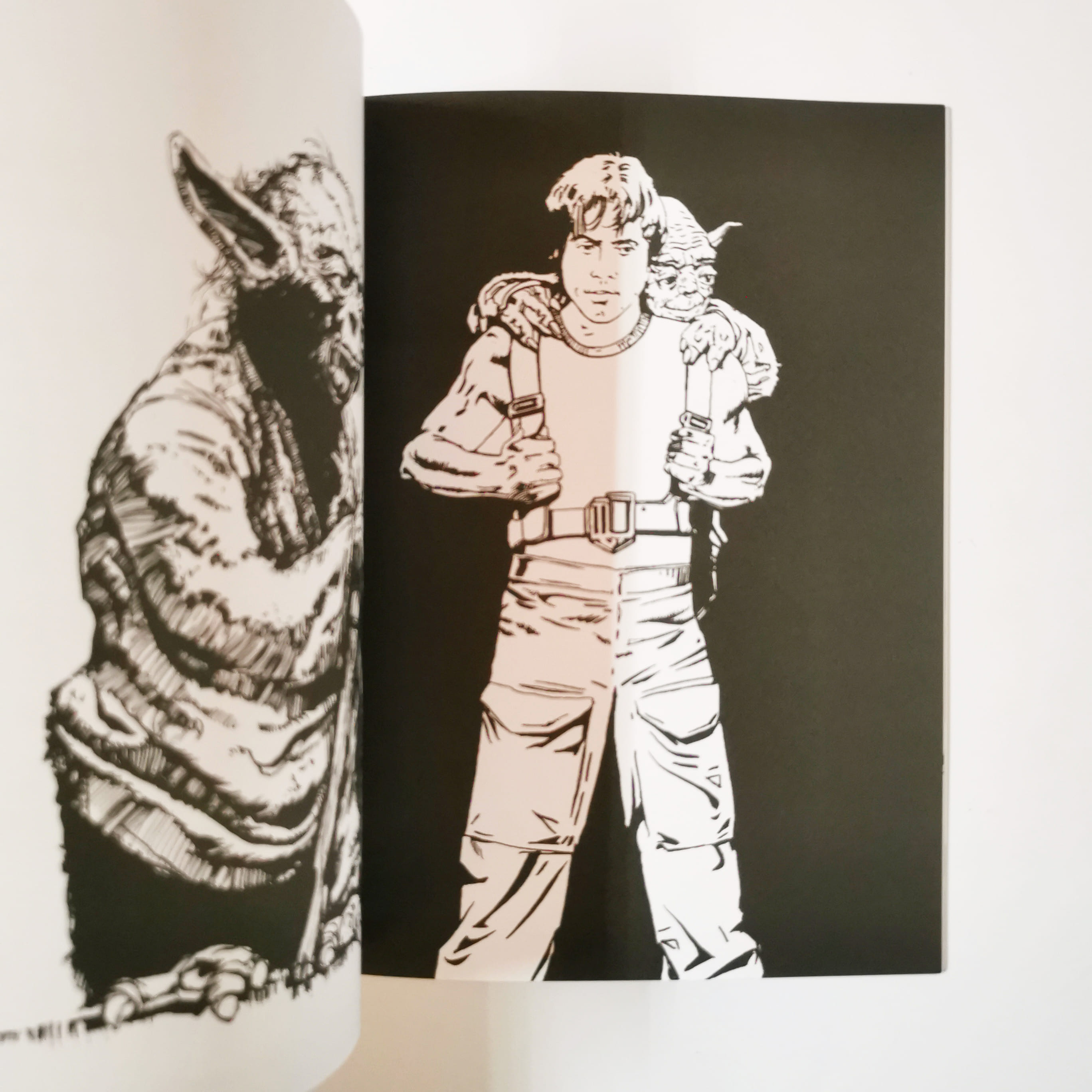 Star Wars Coloring Book : Heroes