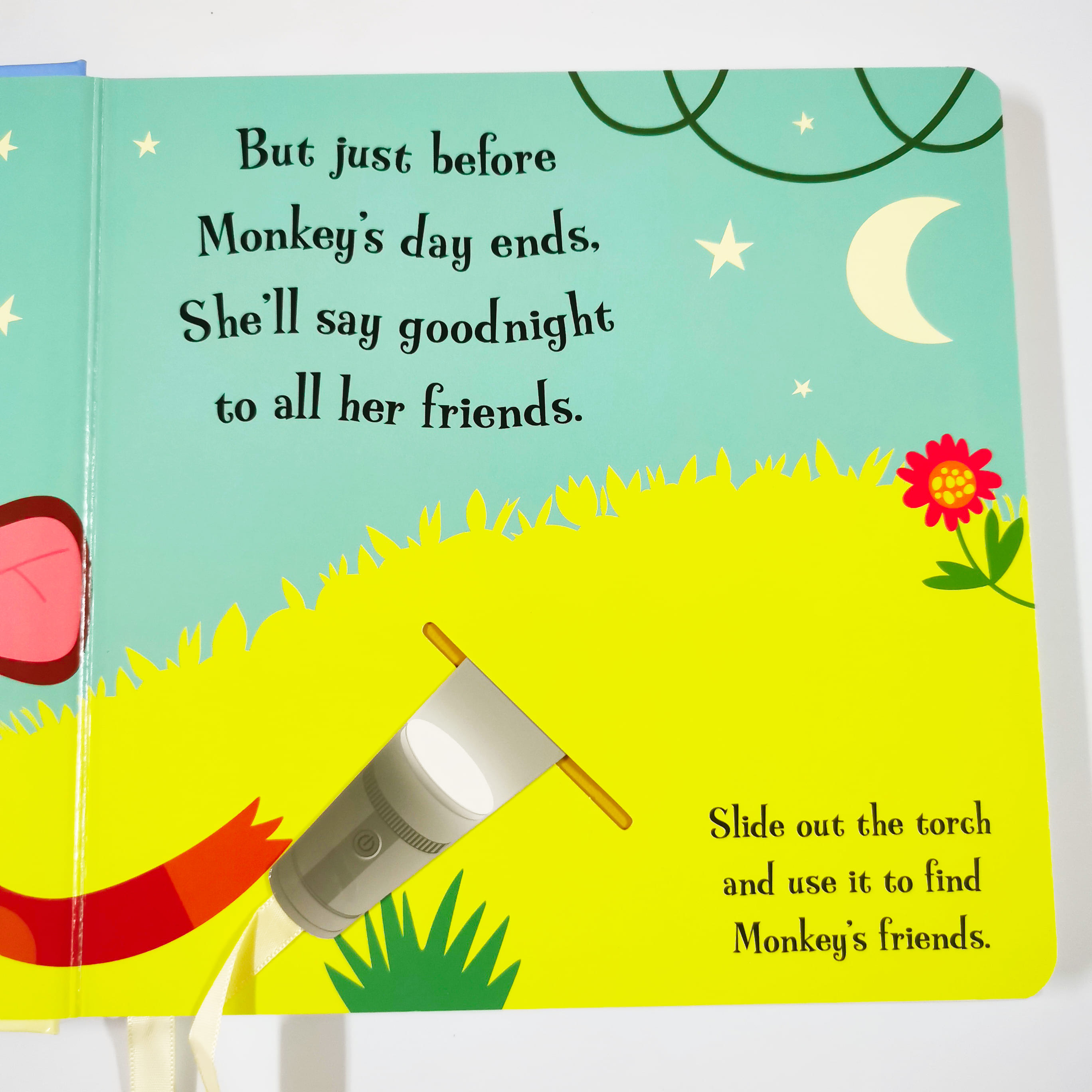 Goodnight Monkey (Magic Torch Books)