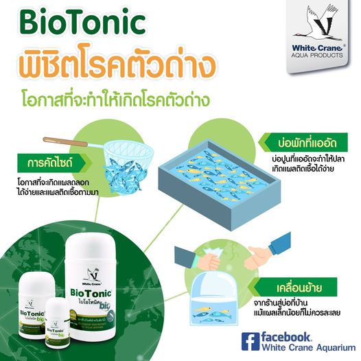 Bio Tonic (สารชีวภัณฑ์ปรับสภาพน้ำ ป้องกันการติดเชื้อและเป็นแผล ดูแลอาการจาก เชื้อรา และเน่าเปื่อยทุกชนิด)