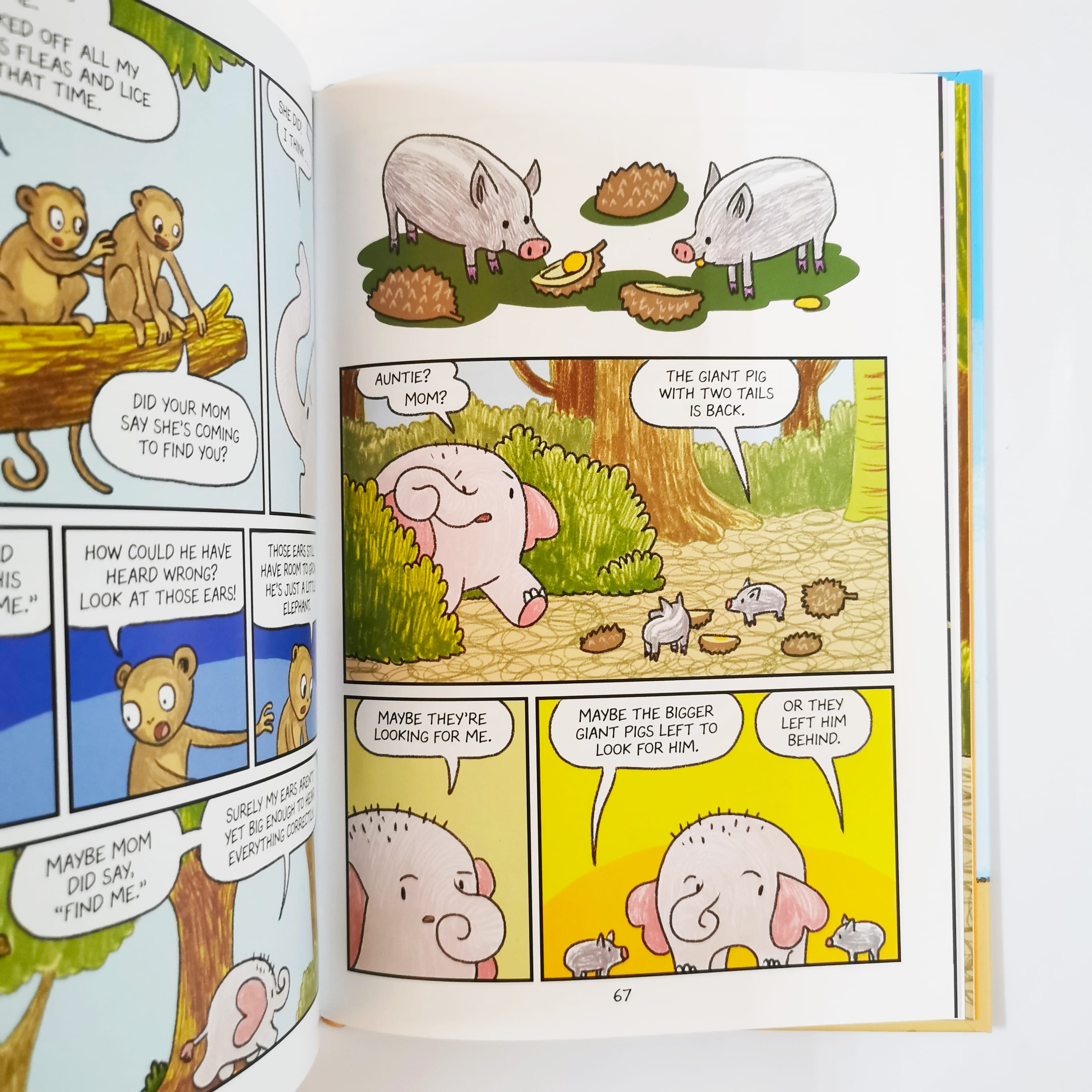 Star the Elephant (Surviving the Wild)