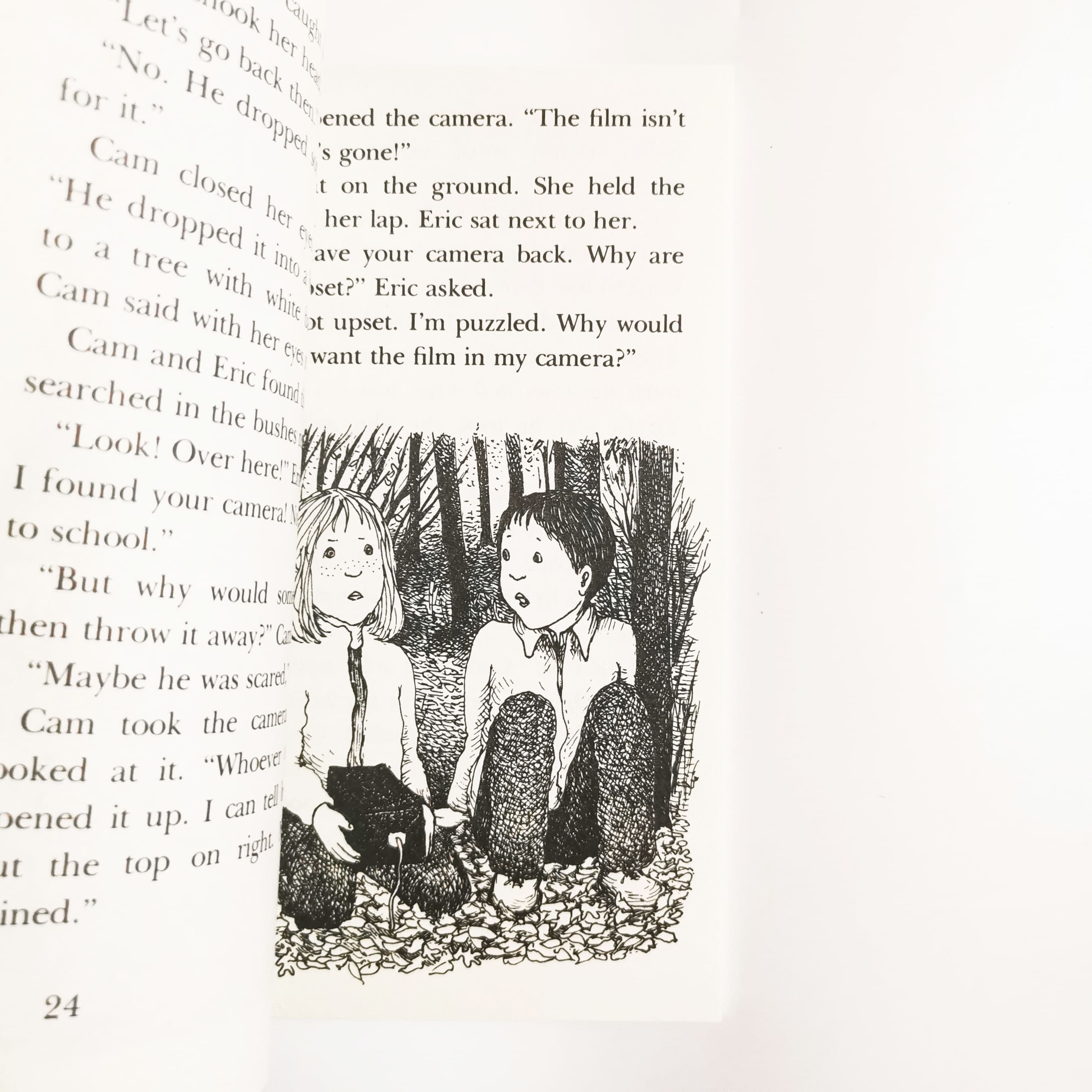 Cam Jansen The Mystery of the Gold Coins #5