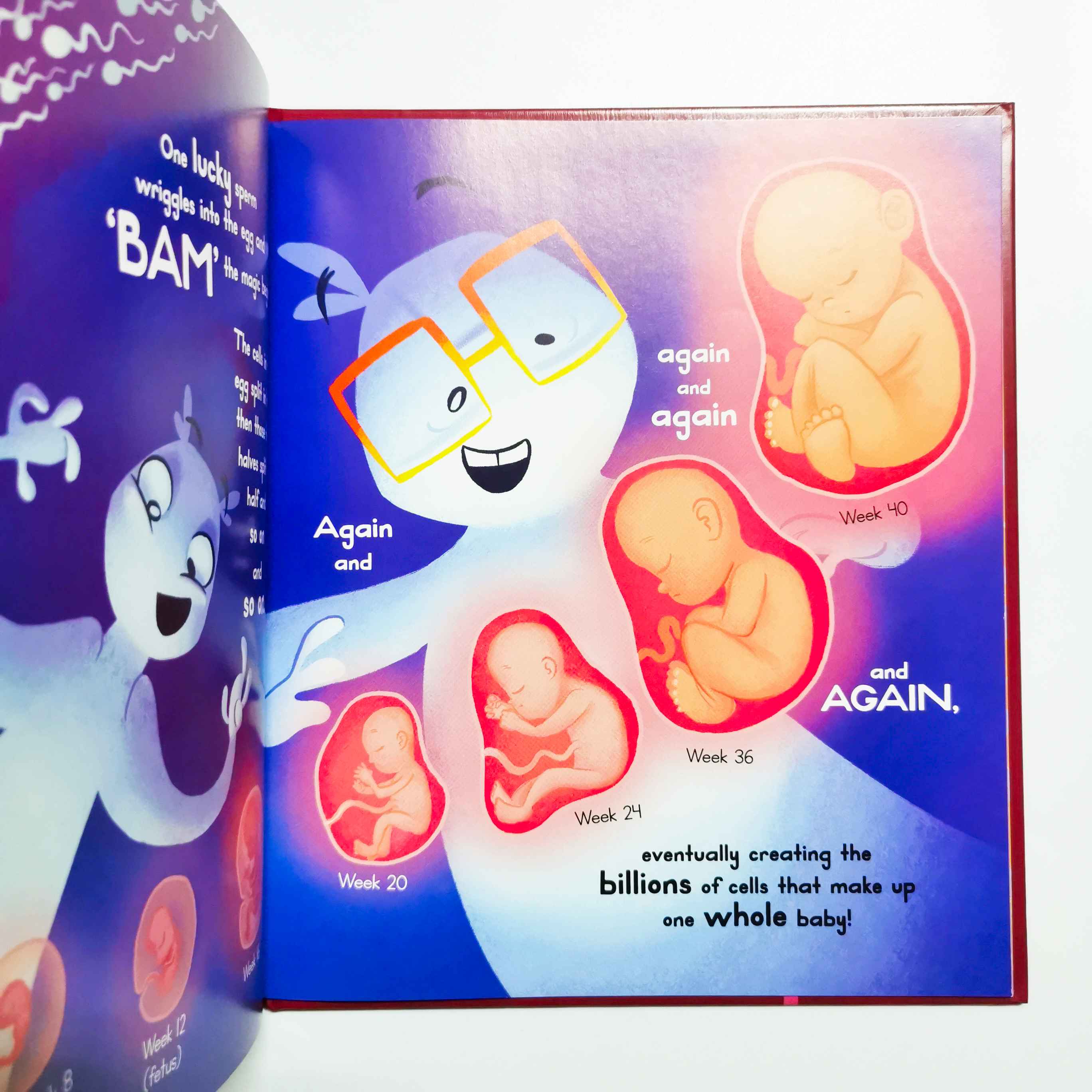 Where Do Babies Come From?