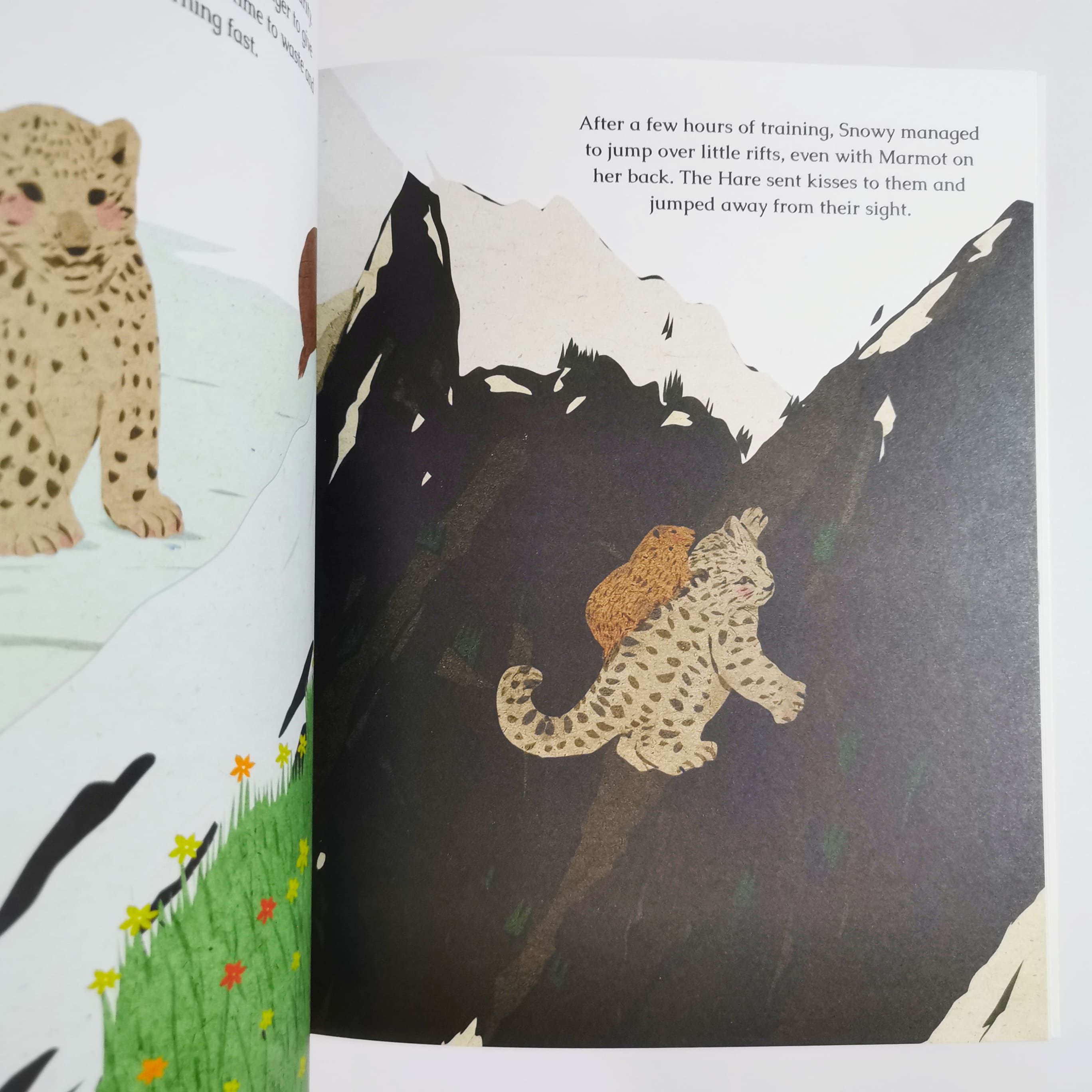 Snowy : A Leopard of the High Mountains