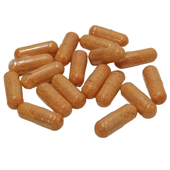 FUNGAZOL CURE CAPSULES (รักษา ครีบเปื่อย ตัวเปื่อย ตาฝ้า ครีบหางกร่อน แผลตามตัว ตกเลือด เมือกตามตัว)