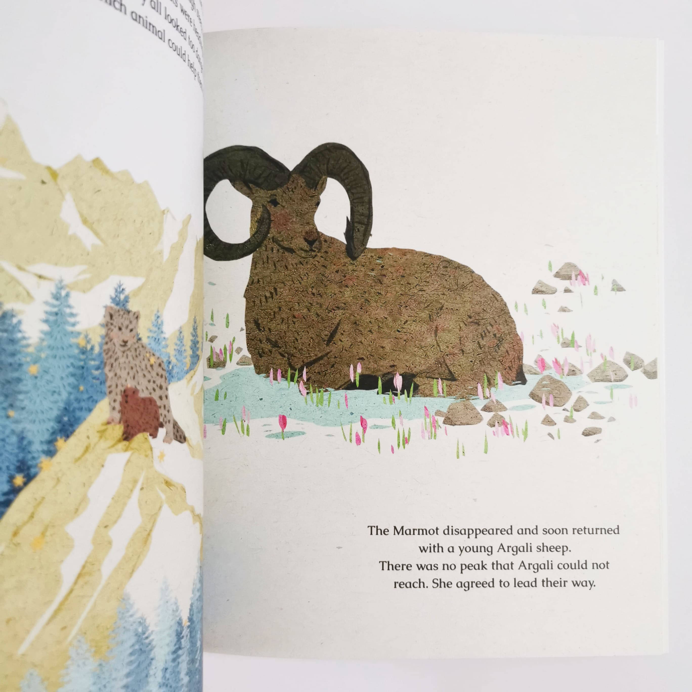 Snowy : A Leopard of the High Mountains