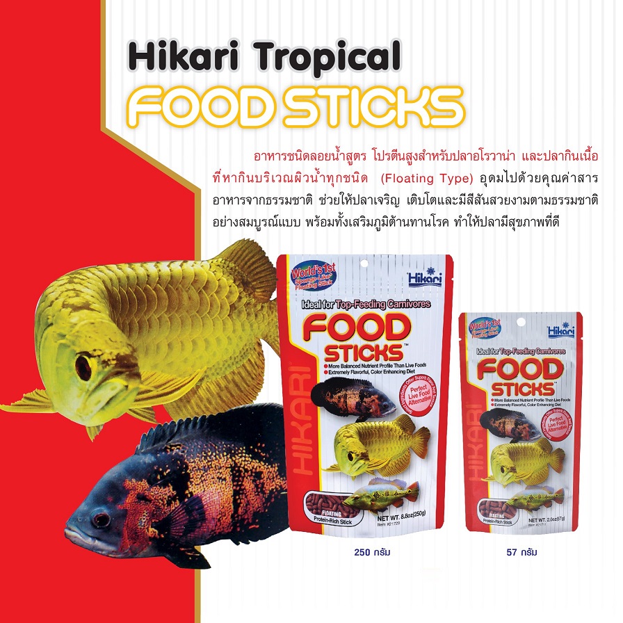 HIKARI AROWANA FOOD STICKS (อาหารสำหรับปลาอโรวาน่าทุกสายพันธุ์ และปลากินเนื้อ)