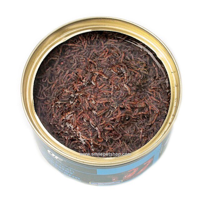 OF Insta Fresh Bloodworm 100 g.(หนอนแดงบรรจุกระป๋อง ปราศจากเชื้อโรค โปรตีนสูงและวิตามินจากธรรมชาติ)