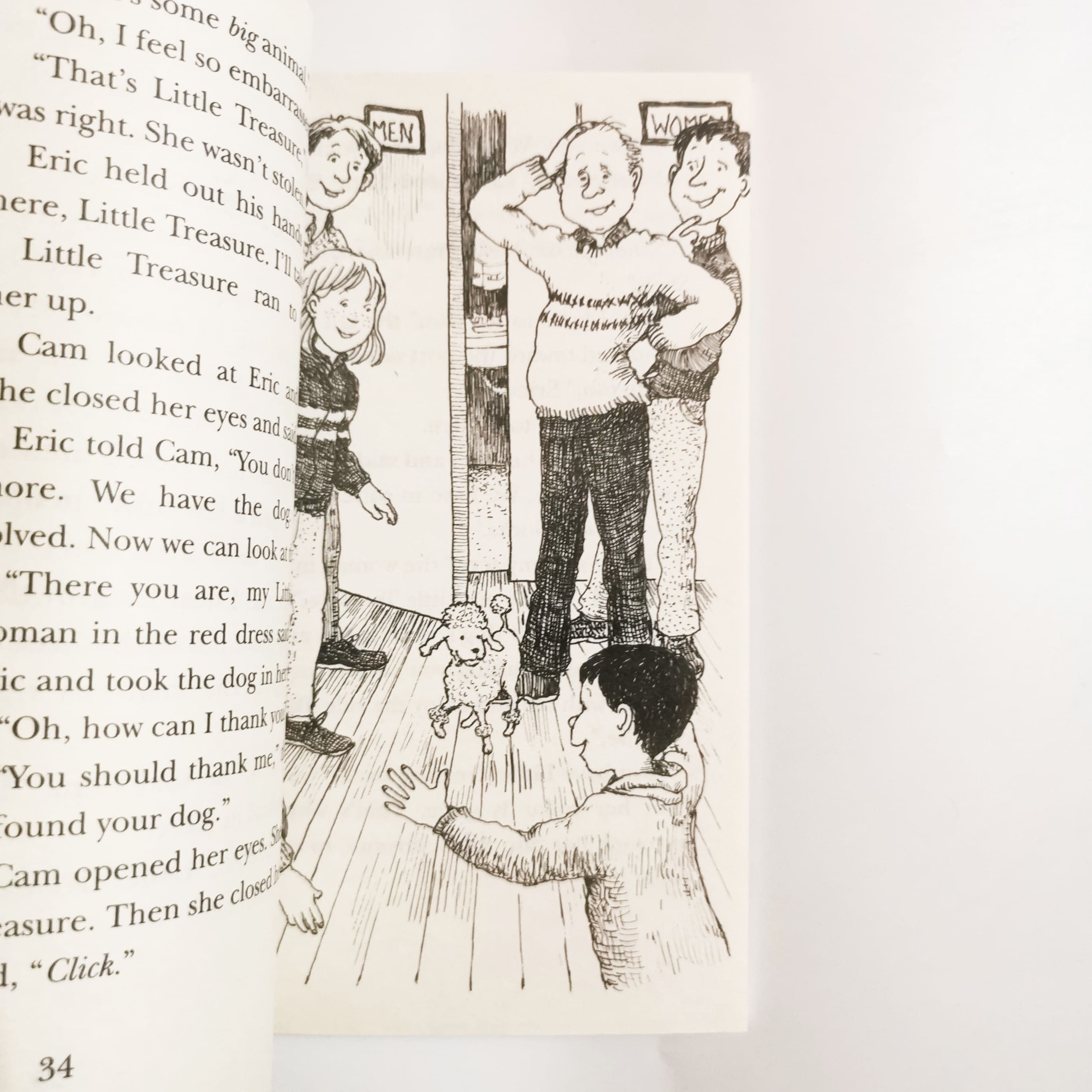 Cam Jansen and the Barking Treasure Mystery #19