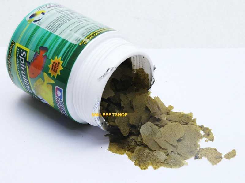 Ocean Nutrition Spirulina Flakes (อาหารปลาชนิดแผ่นสูตรผสมสาหร่ายสไปรูลิน่า โปรตีนสูง เร่งสี เร่งโต)