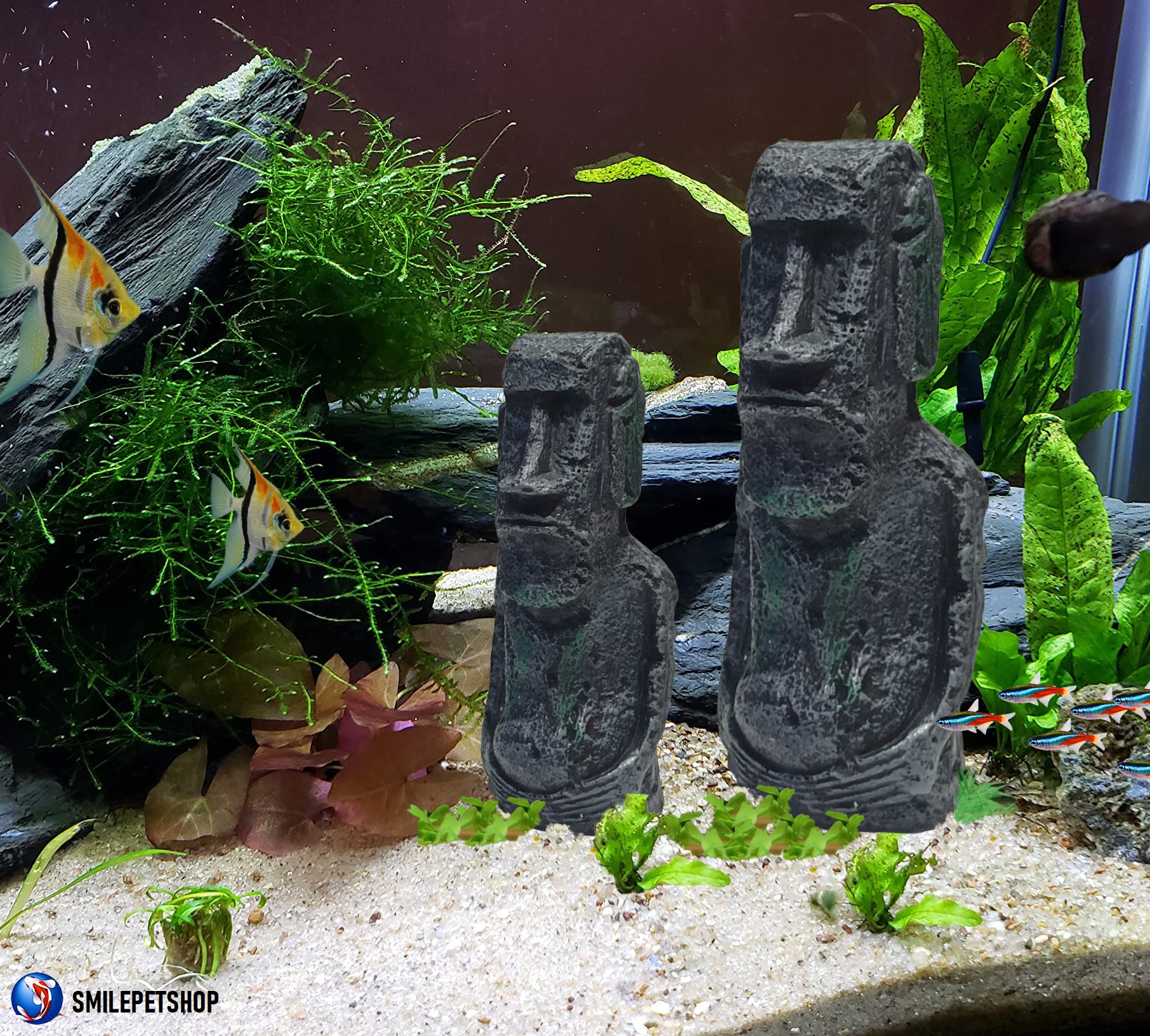 อีสเตอร์ โมอาย Moai Easter Island(เรซินโมอายเกาะอีสเตอร์ สำหรับตกแต่งตู้ปลา ลวดลายหินธรรมชาติ เพิ่มความสวยงาม)