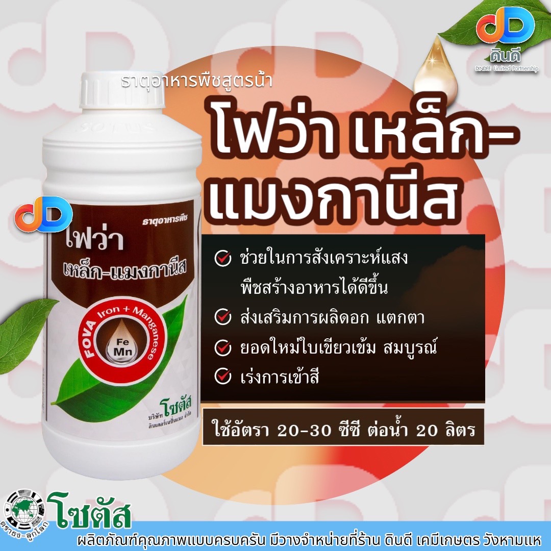 โฟว่าเหล็ก-แมงกานีส ธาตุอาหารพืช ส่งเสริมการผลิดอก แตกตายอดใหม่ ใบเขียวเข้มสมบูรณ์ เร่งการเข้าสี ตราโซตัส ขนาด1ลิตร
