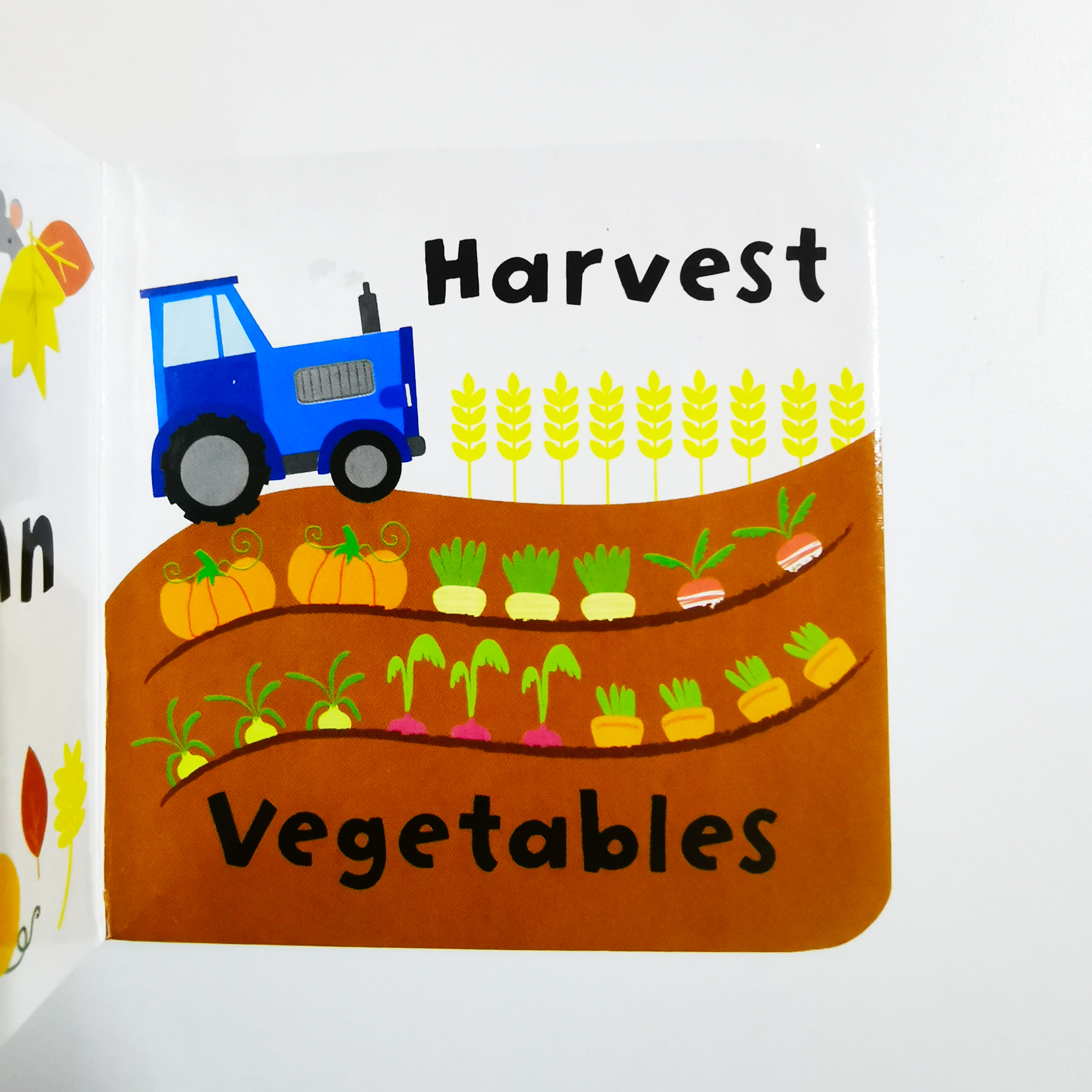 My Big Concept Bookcase