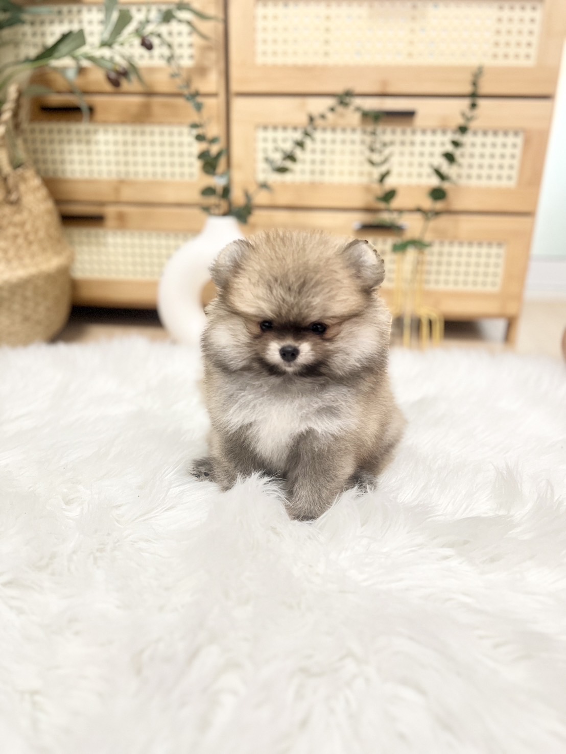 น้องปอม เพศญ สีส้ม