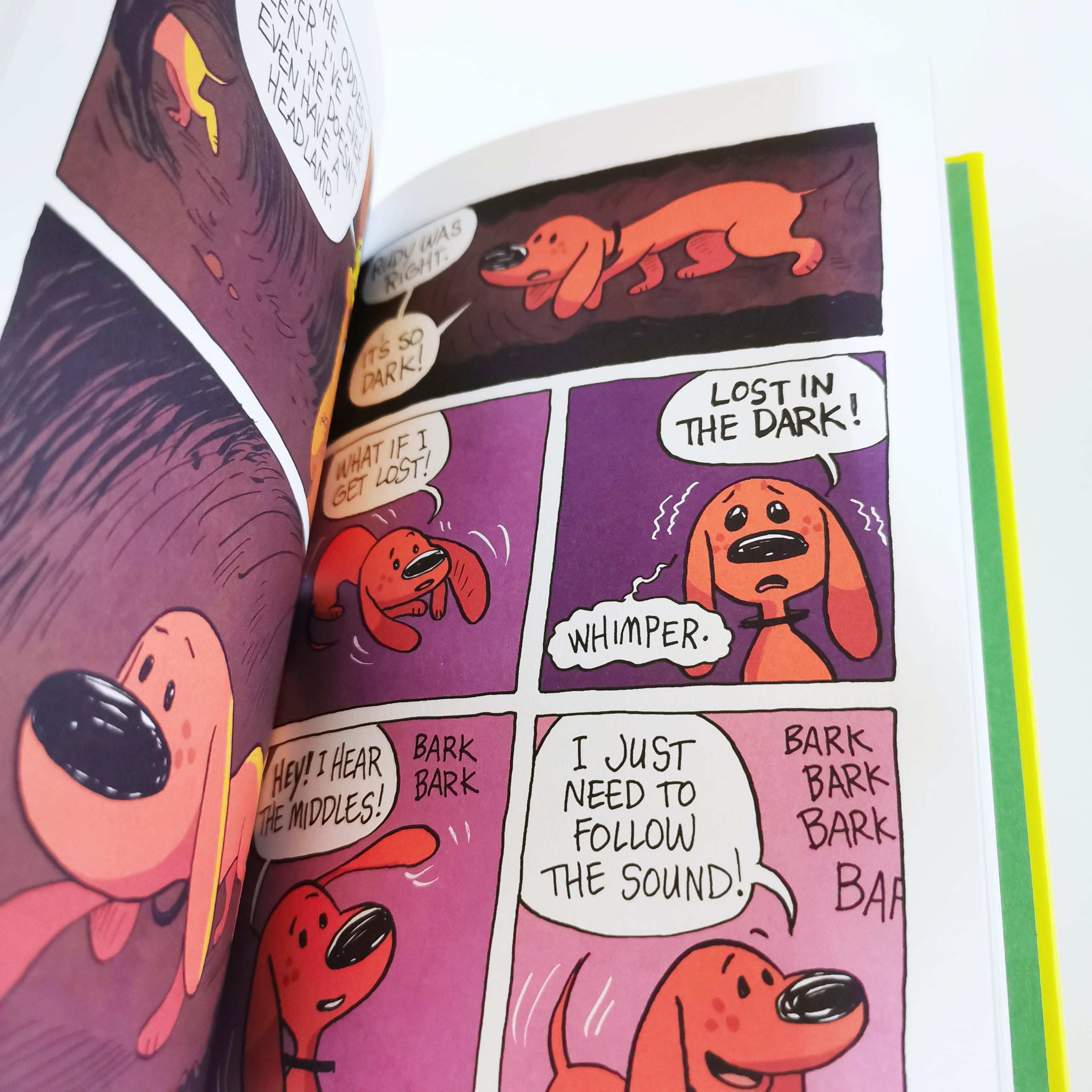 Fetch! (Peanut, Butter, & Crackets)