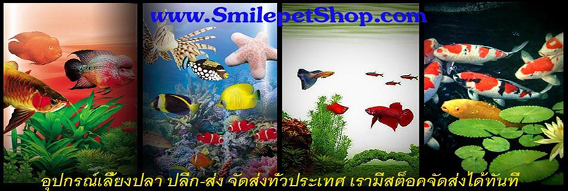 Smilepetshop