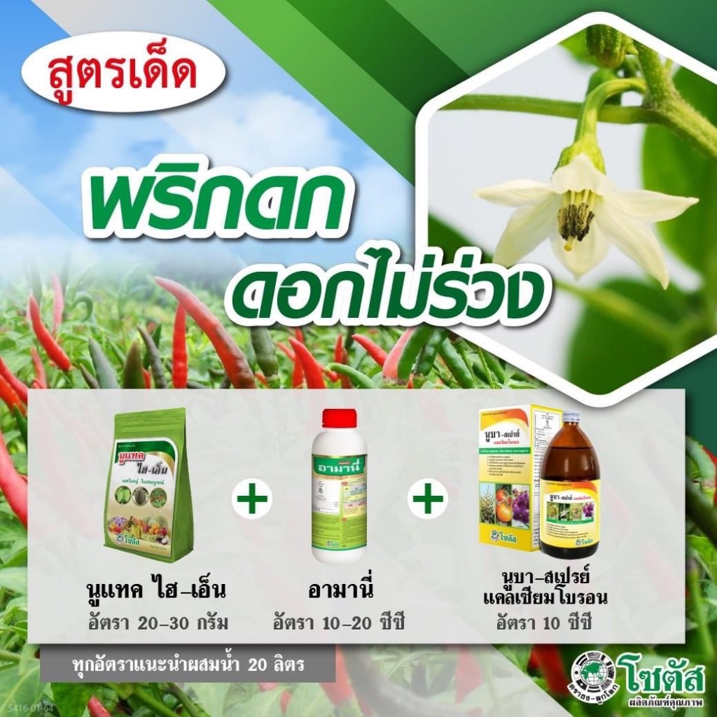 ชุดพริดดก ดอกไม่ร่วง นูแทค ไฮ-เอ็น+อามานี่+นูบา-สเปรย์