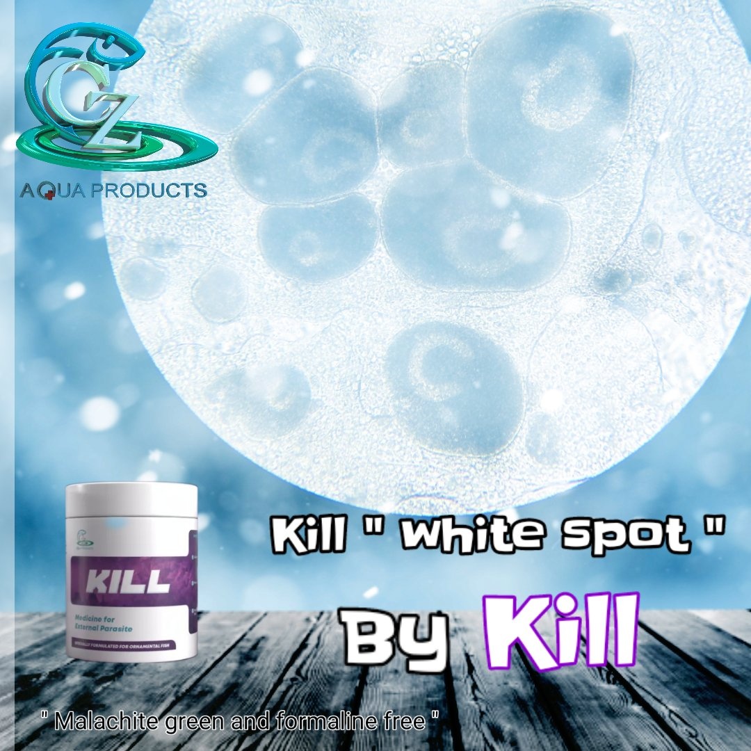 KILL Medicine For External Parasite 50g.(ฆ่าเชื้อโรค อาหารสด อุปกรณ์ กำจัดปรสิต จุดขาว ภายนอกตัวปลา ผลิตโดยสัตวแพทย์)