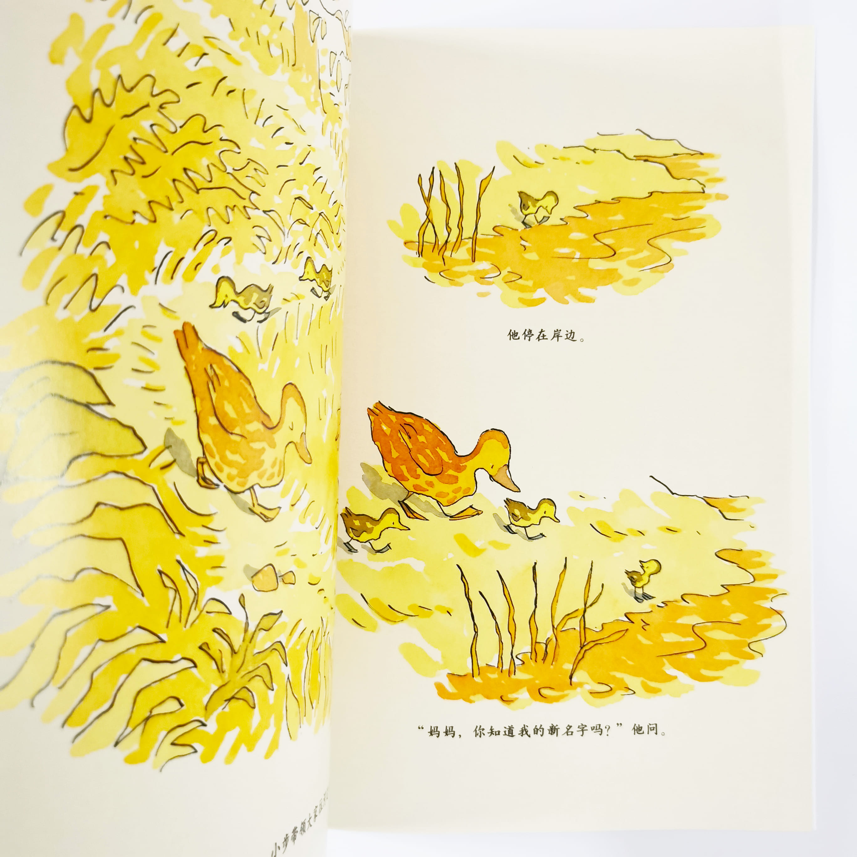 小步走路 Little One Step