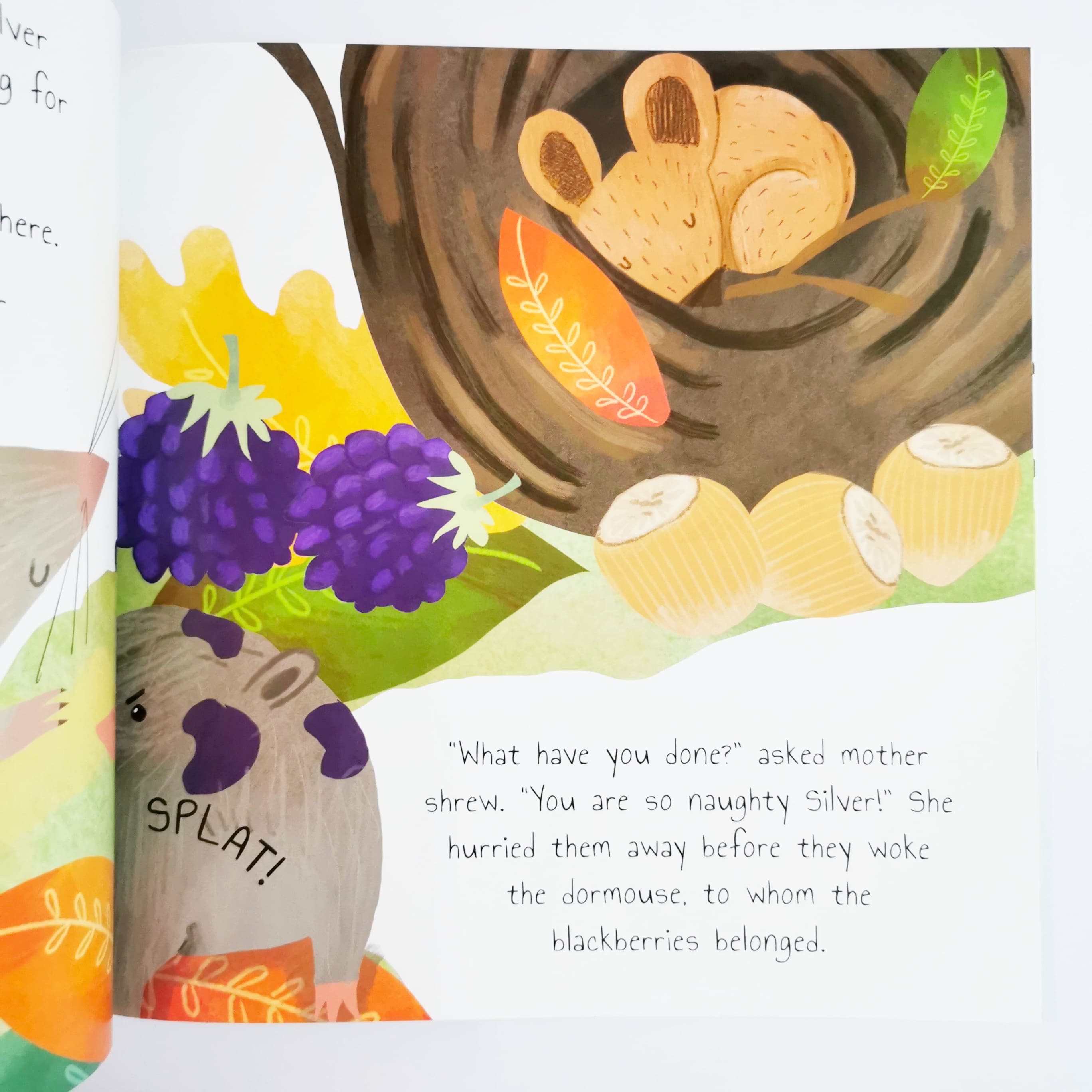 Silver The Shrew (Woodland Tales)