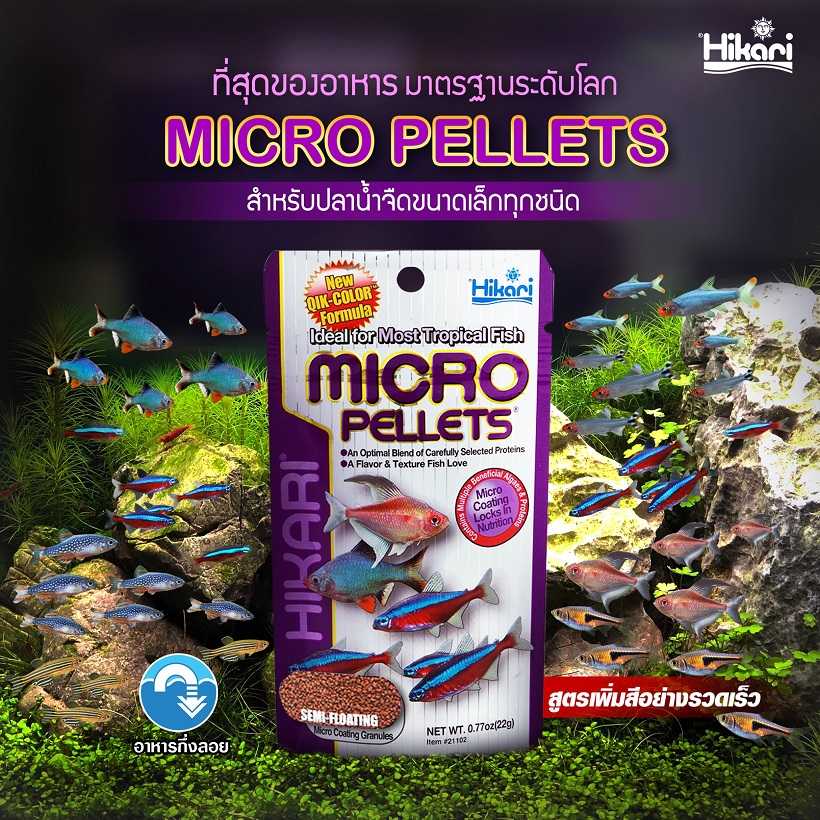 Hikari Micro Pellets (อาหารปลาขนาดเล็กจากประเทศญี่ปุ่น โปรตีนสูง เร่งสี เร่งโต)