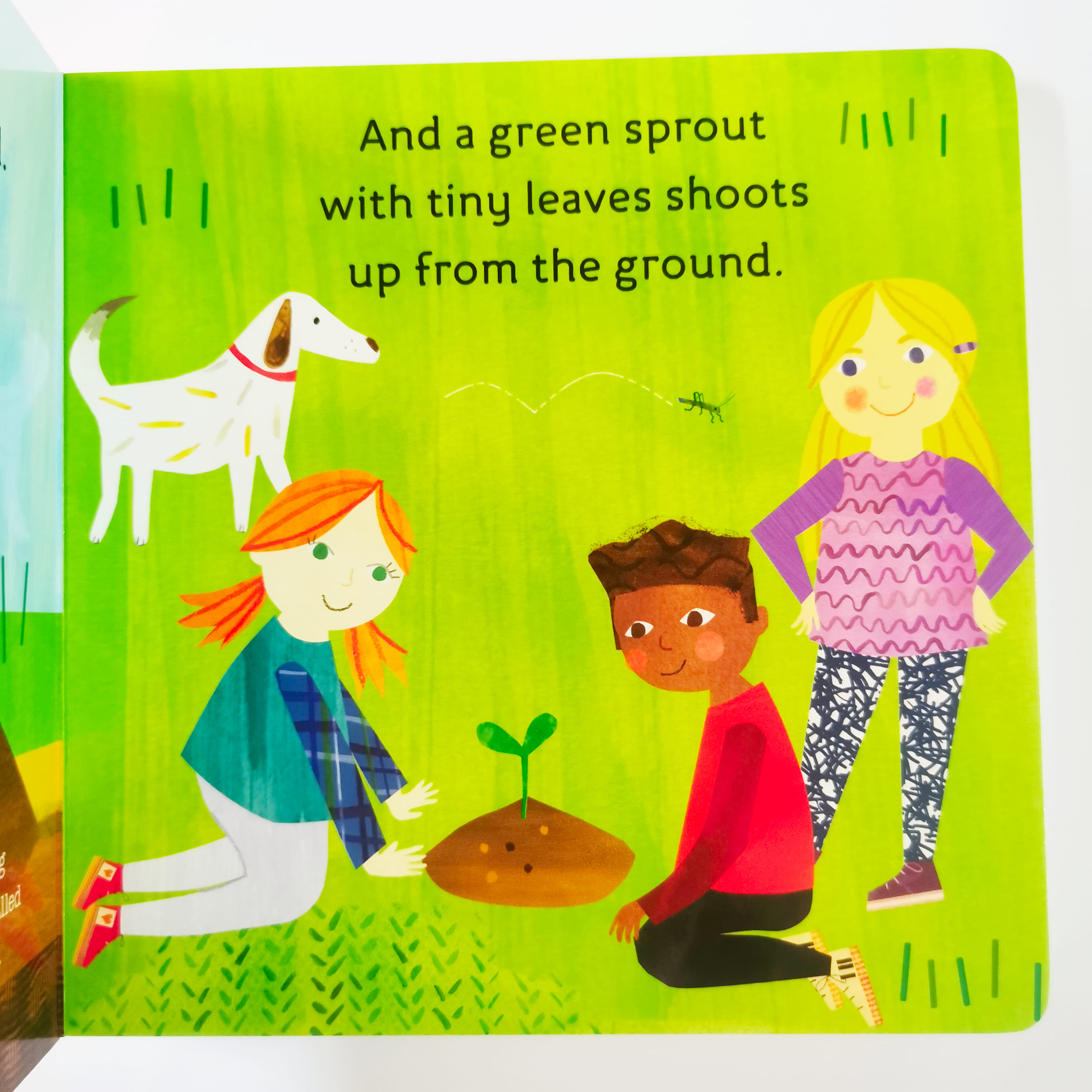 How Do Apples Grow (Hello, World!)