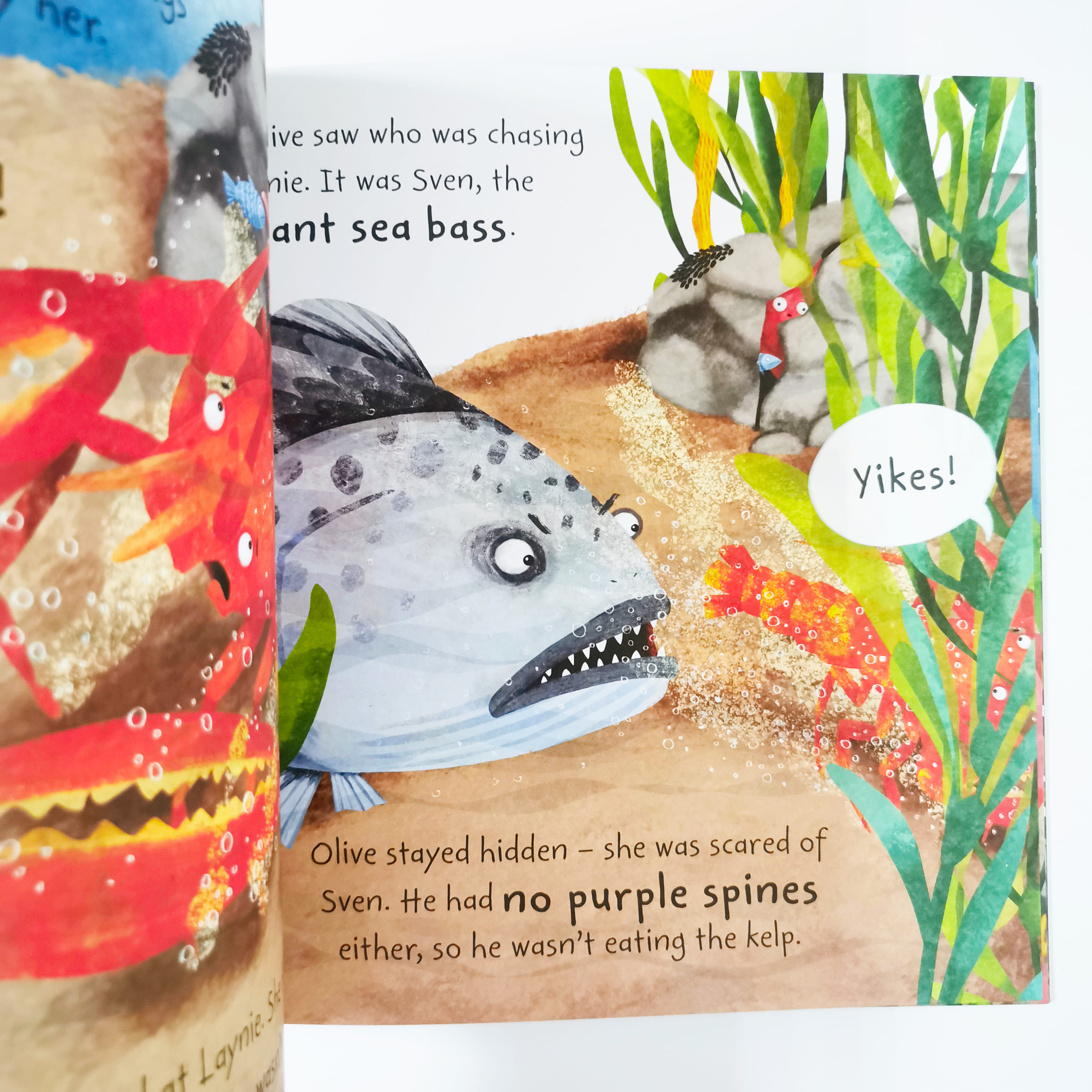 Olive the Octopus (Stories from the Sea)