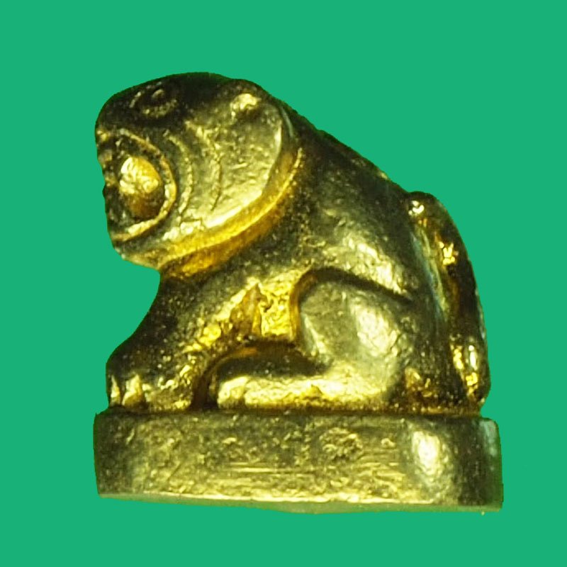 A1080 เสือจิ๋ว หลวงพ่อเเพี้ยน วัดเเกริ่นกฐิน ลพบุรี 12