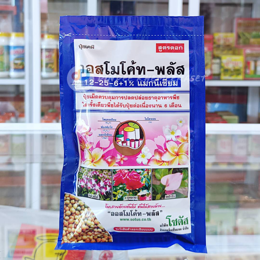 ออสโมโค้ท พลัส สูตร 12-25-6 (Osmocote Plus 12-25-6) :100 กรัม ใส่เพียงครั้งเดียว พืชได้รับปุ๋ยต่อเนื่อง6 เดือน