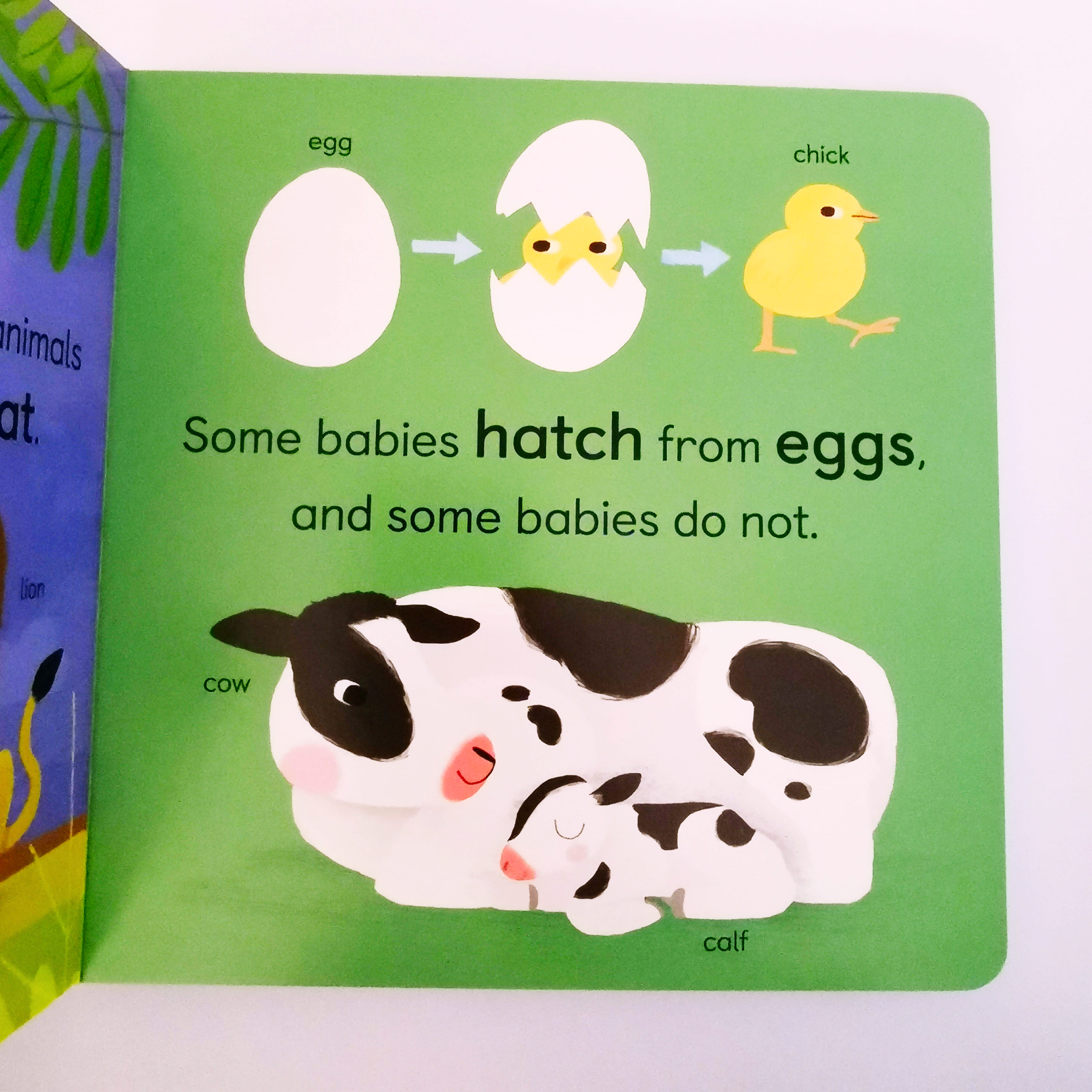 Zoology for Babies
