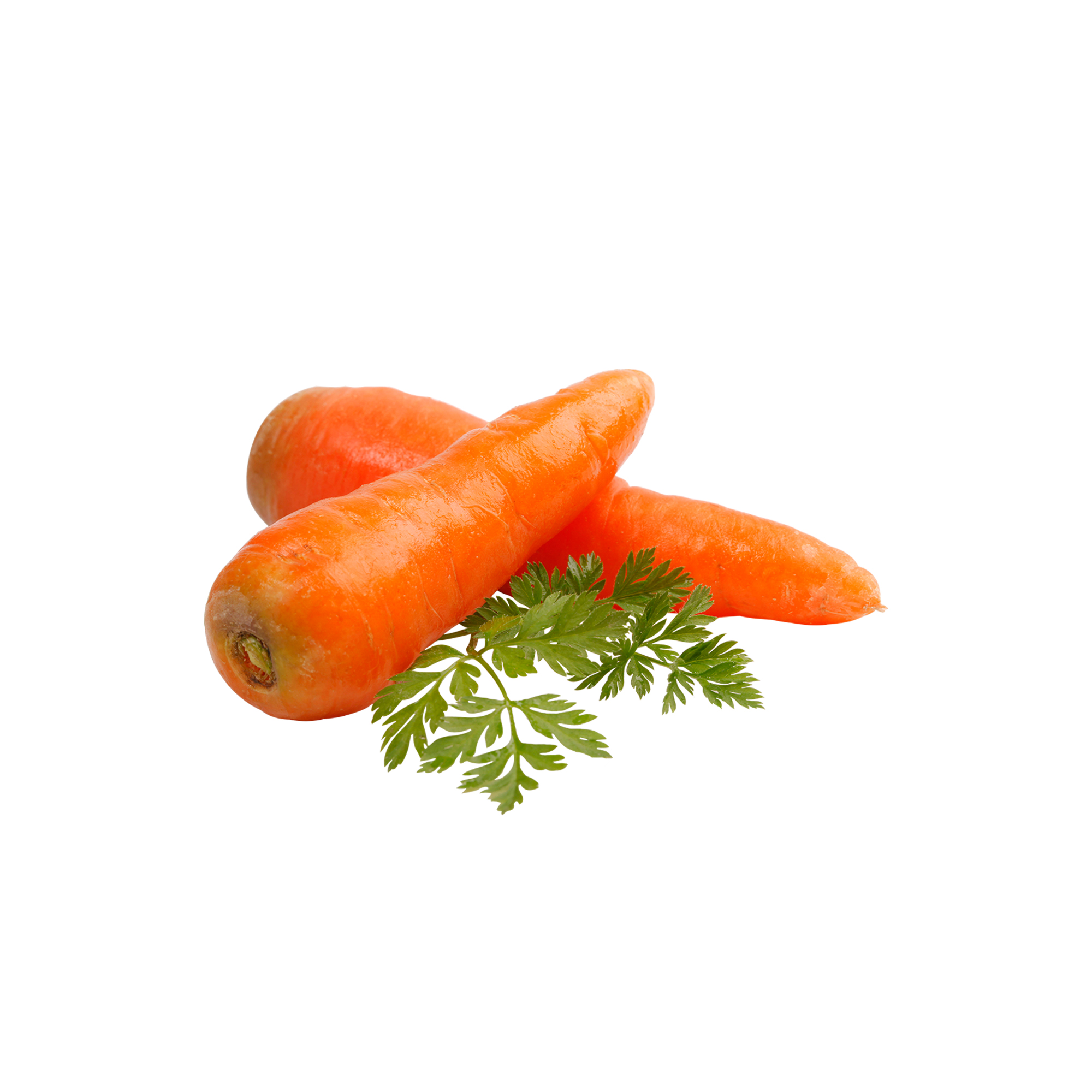สารสกัดแครอท Carrot Extract (สารสกัดใส่สบู่ ใช้เป็นส่วนผสมสำหรับเครื่องสำอางเท่านั้น) ขนาด 50 g / 100 g / 500 g / 1000 g