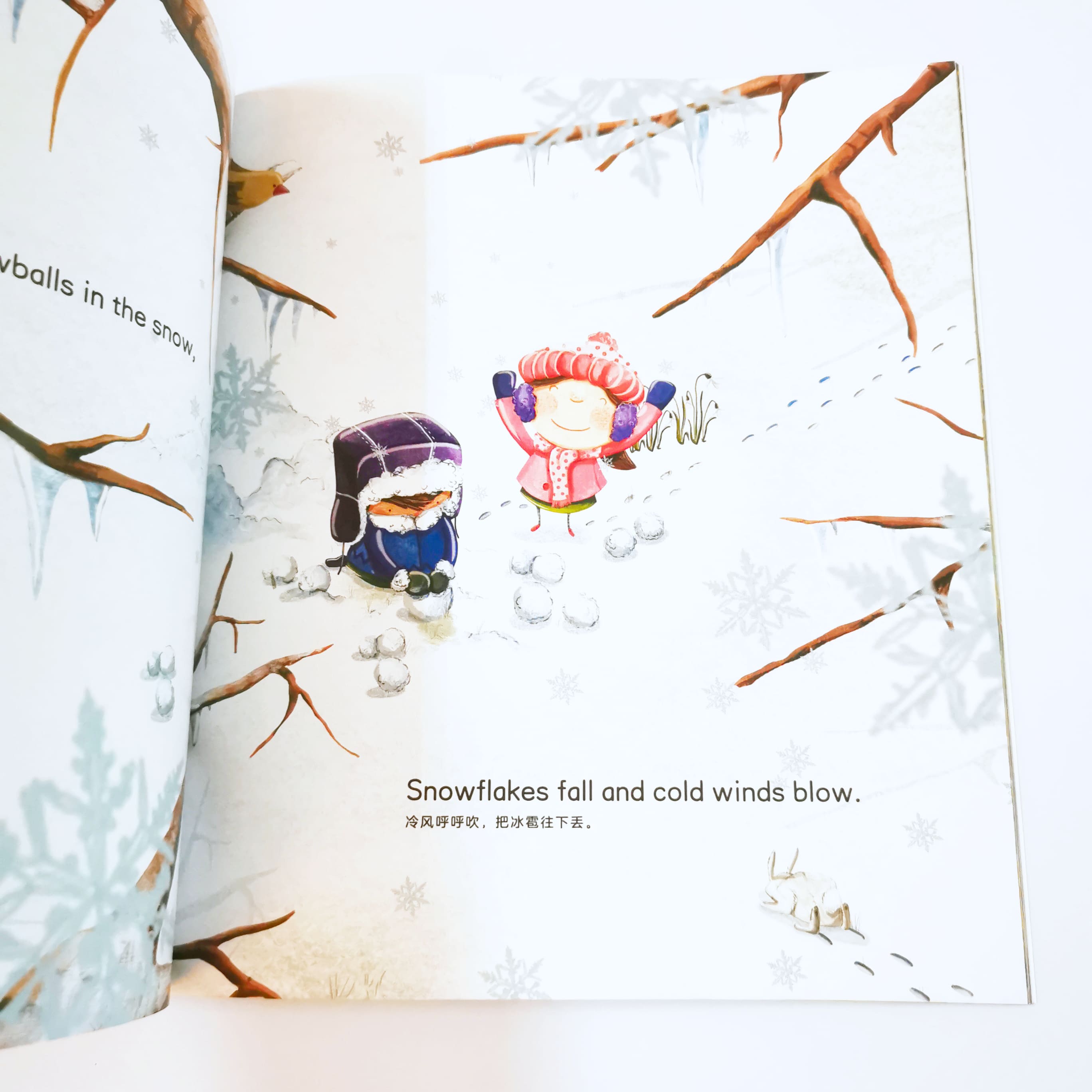 Sunshine and Snowballs 阳光和雪球